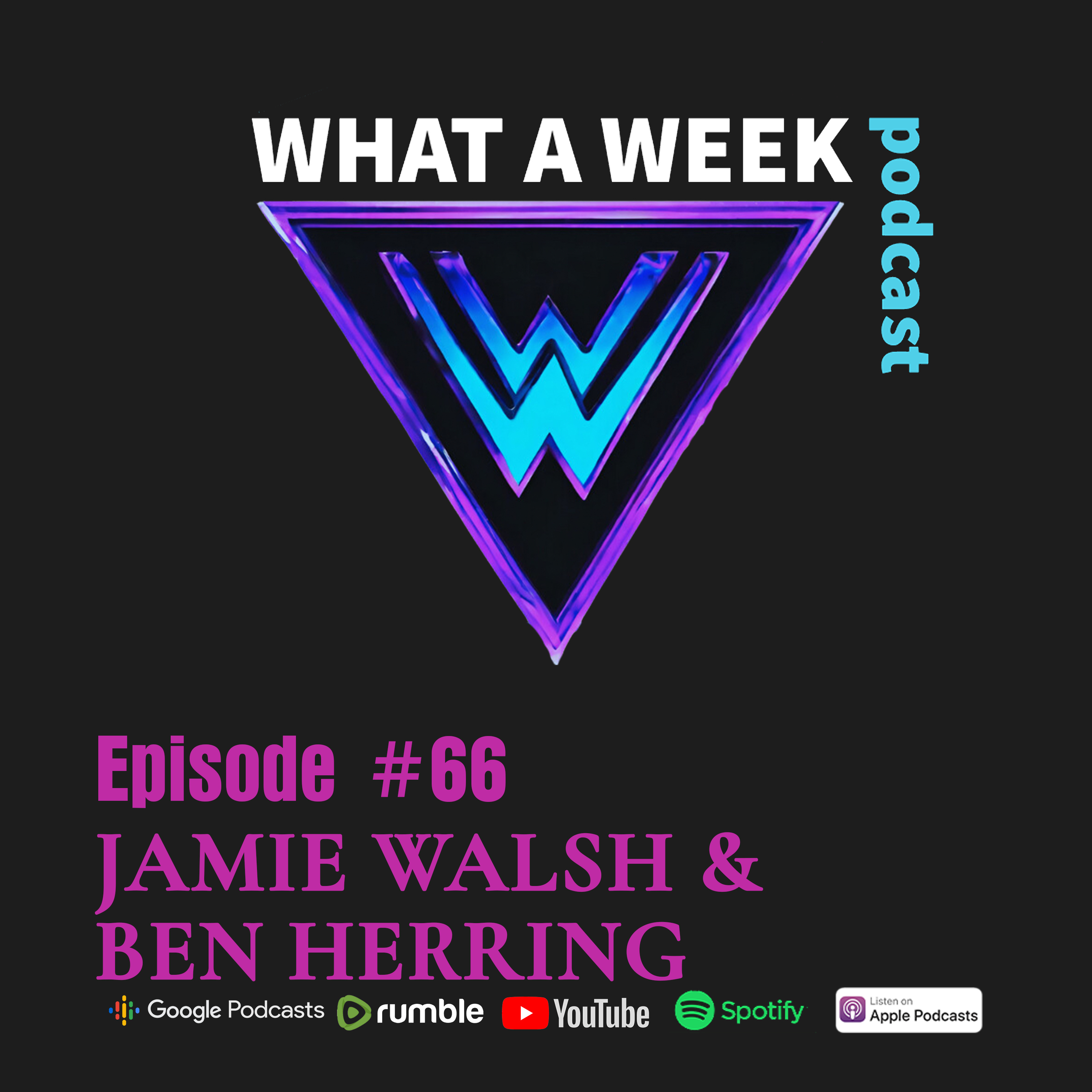 Episode 66: Jamie Walsh & Ben Herring Election Integrity, Parental Rights, and Political Realities episode artwork