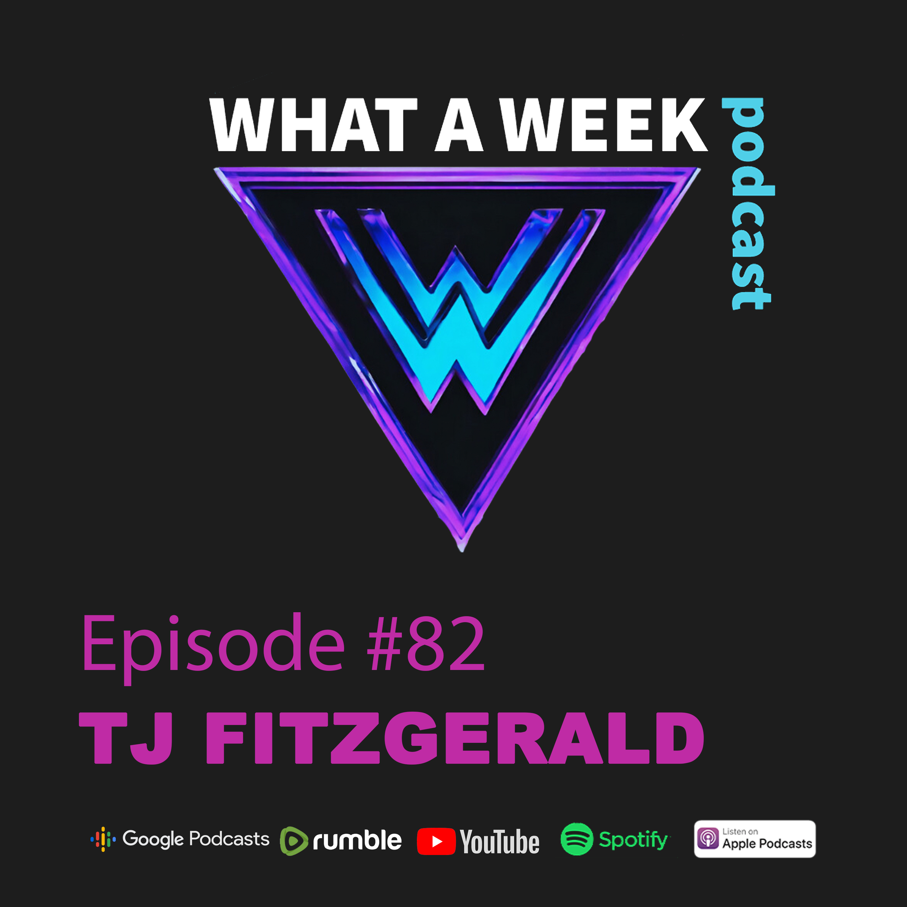 Episode 82: TJ Fitzgerald on Resilience, Truth, and Bridging Divides in Northeast PA episode artwork