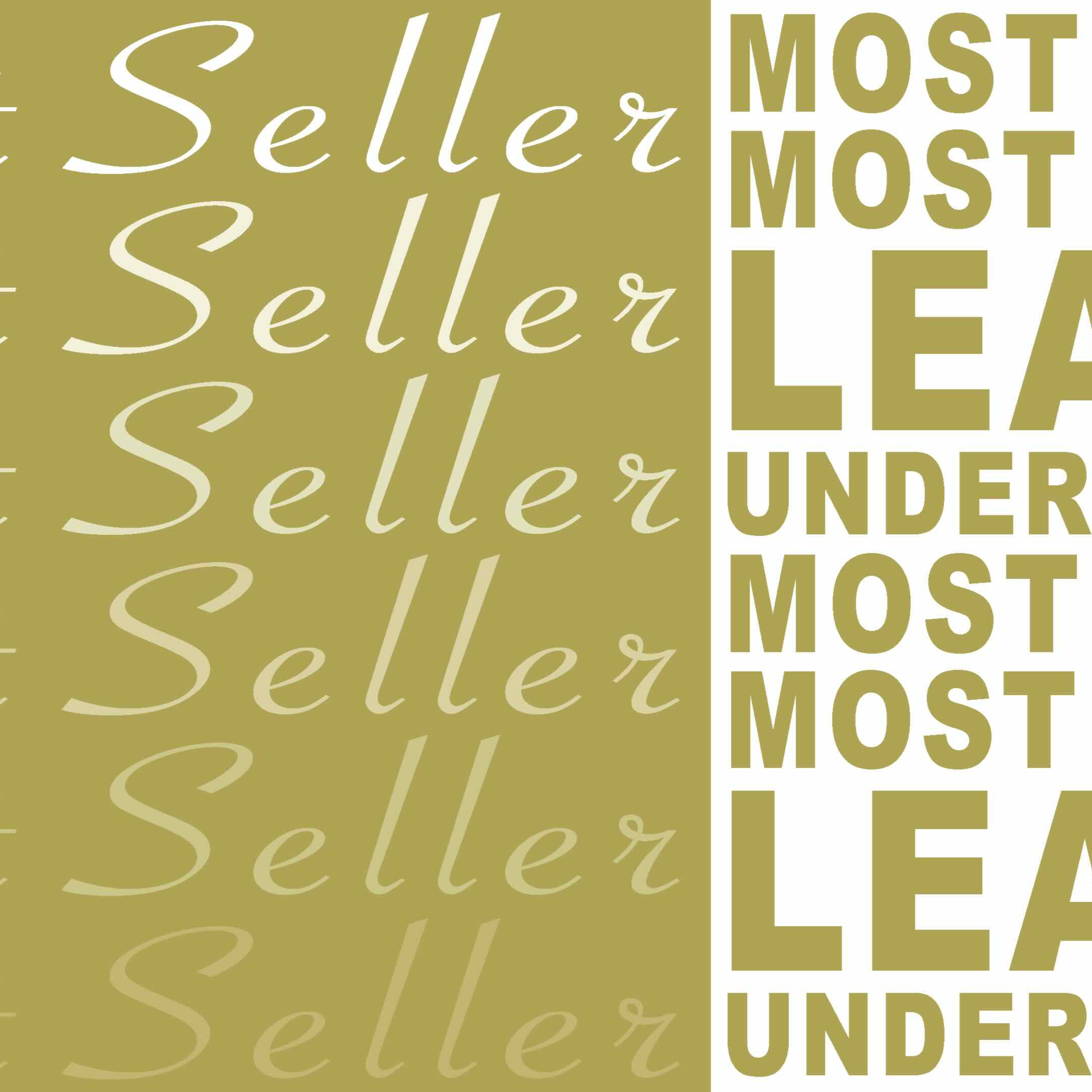 Best Seller Pt. 1 - Guides Us episode artwork