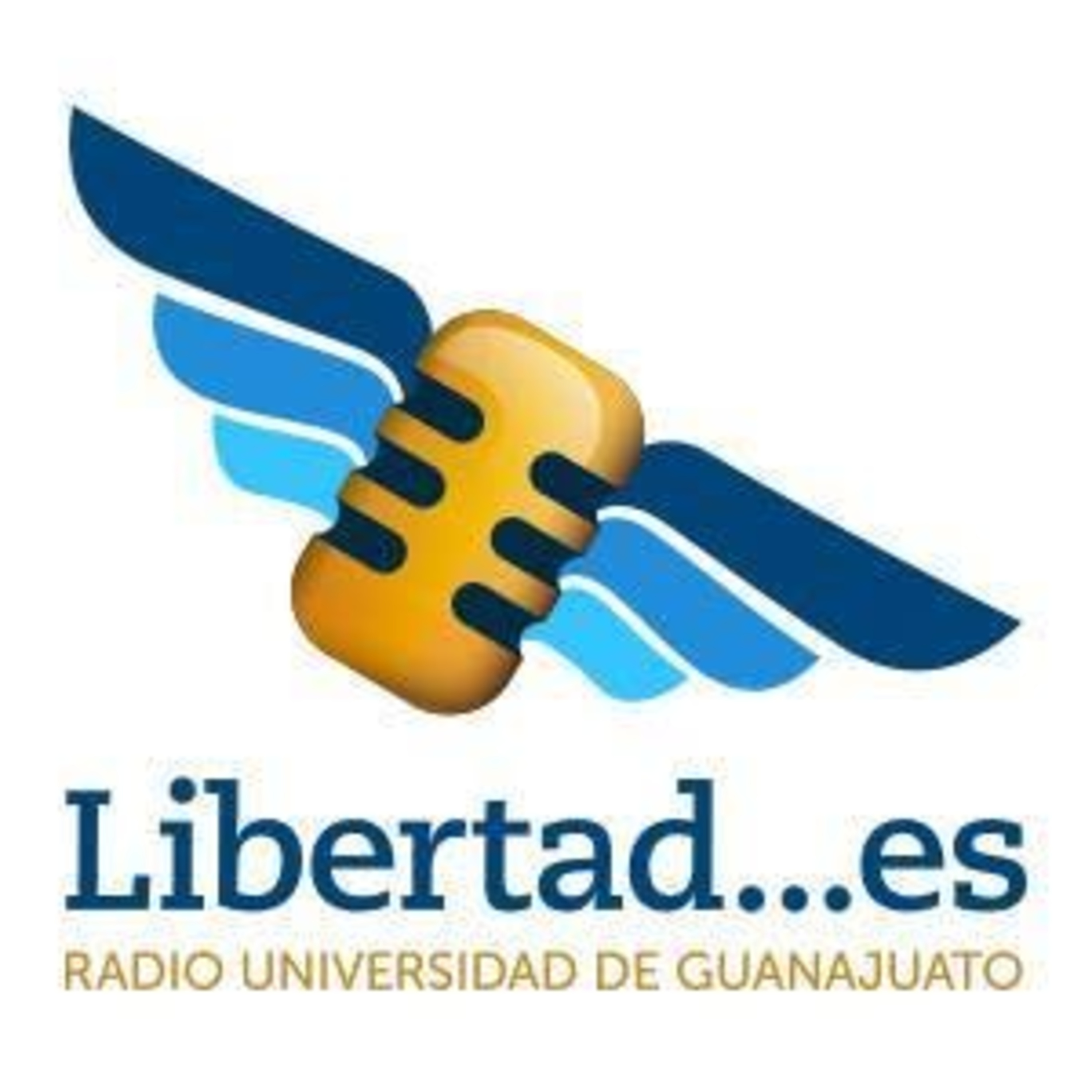 ¿Cómo los jueces deberán ejercer el control de convencionalidad de las leyes? | Libertad... es episode artwork