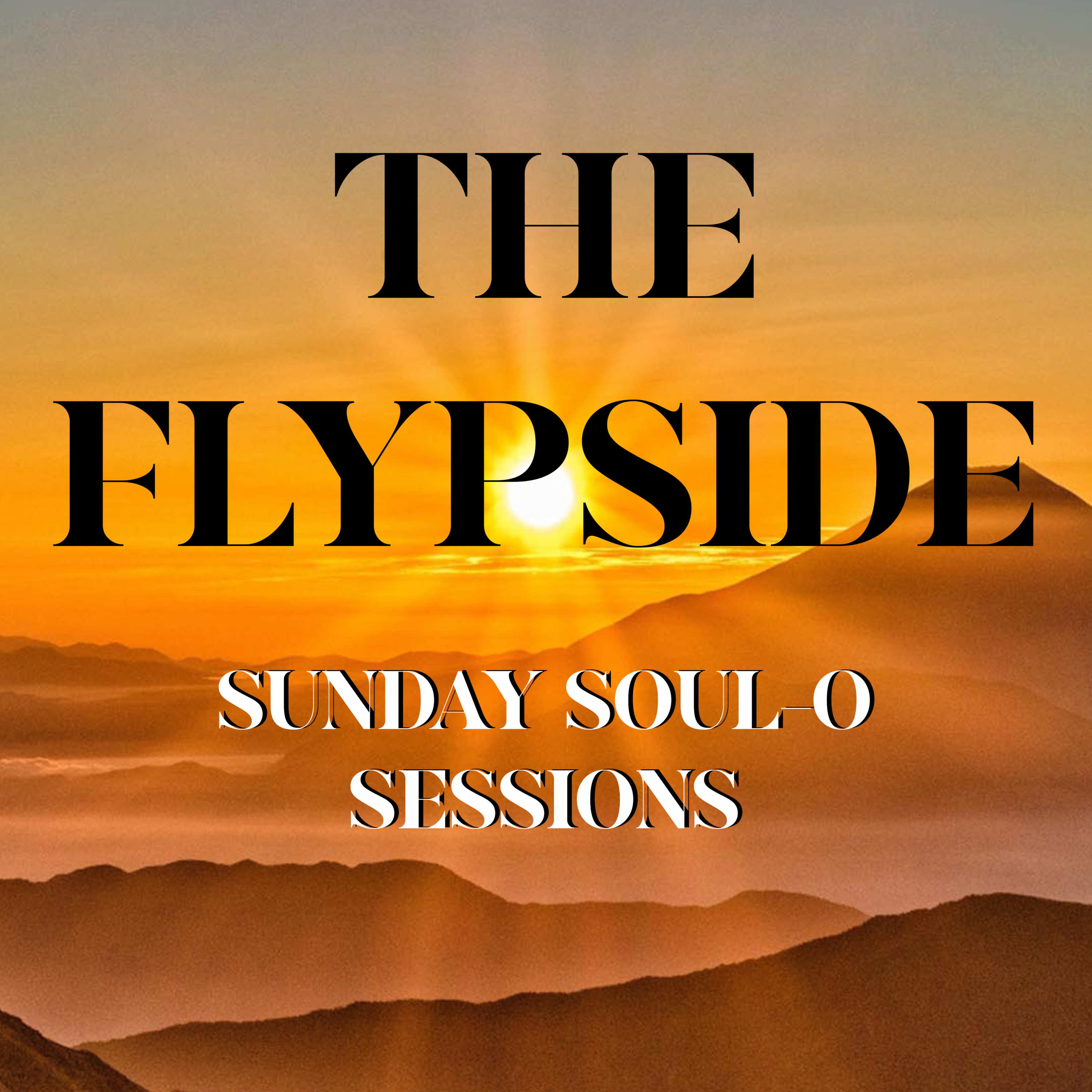 THE FLYPSIDE
