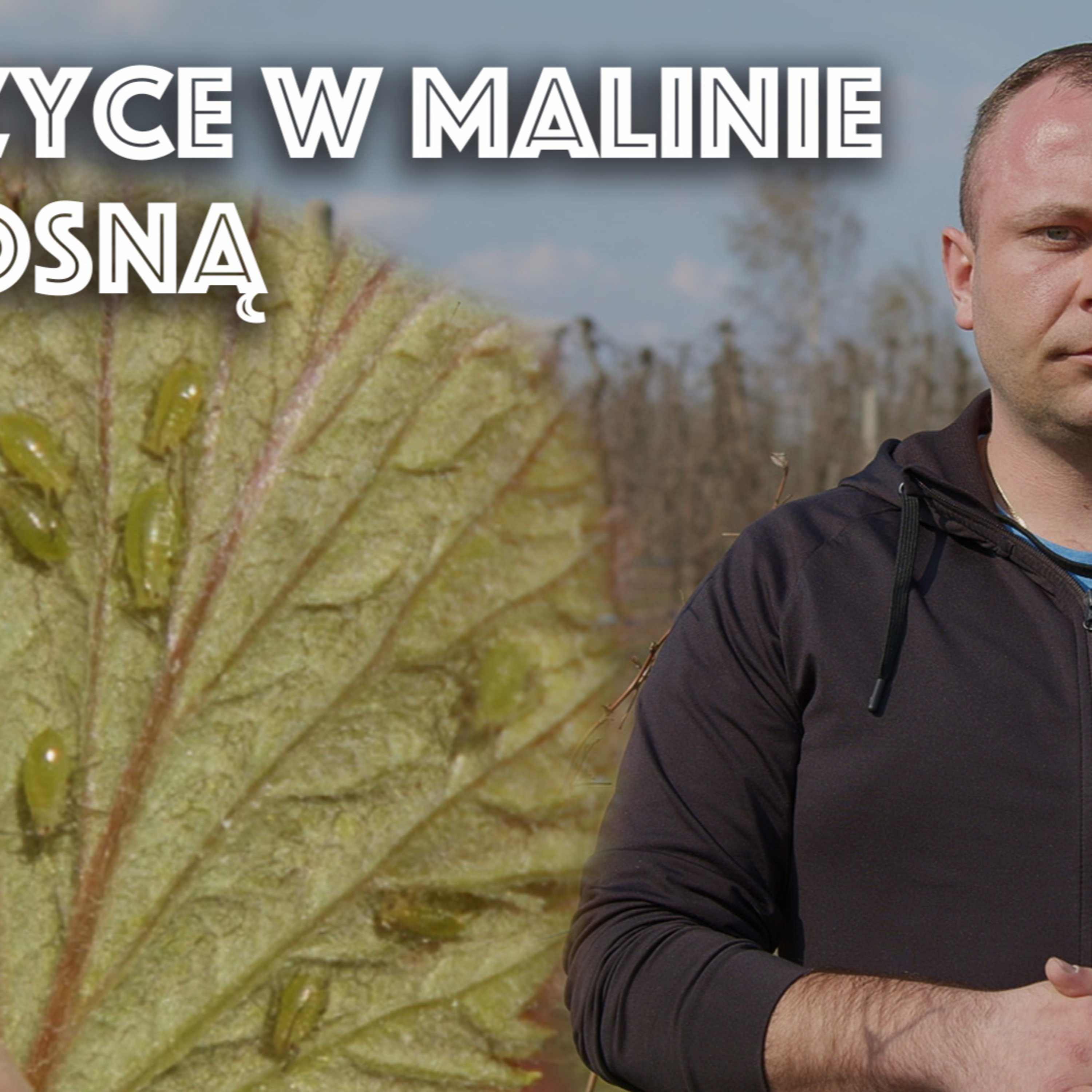 Przegląd Sadowniczy - sadownictwo