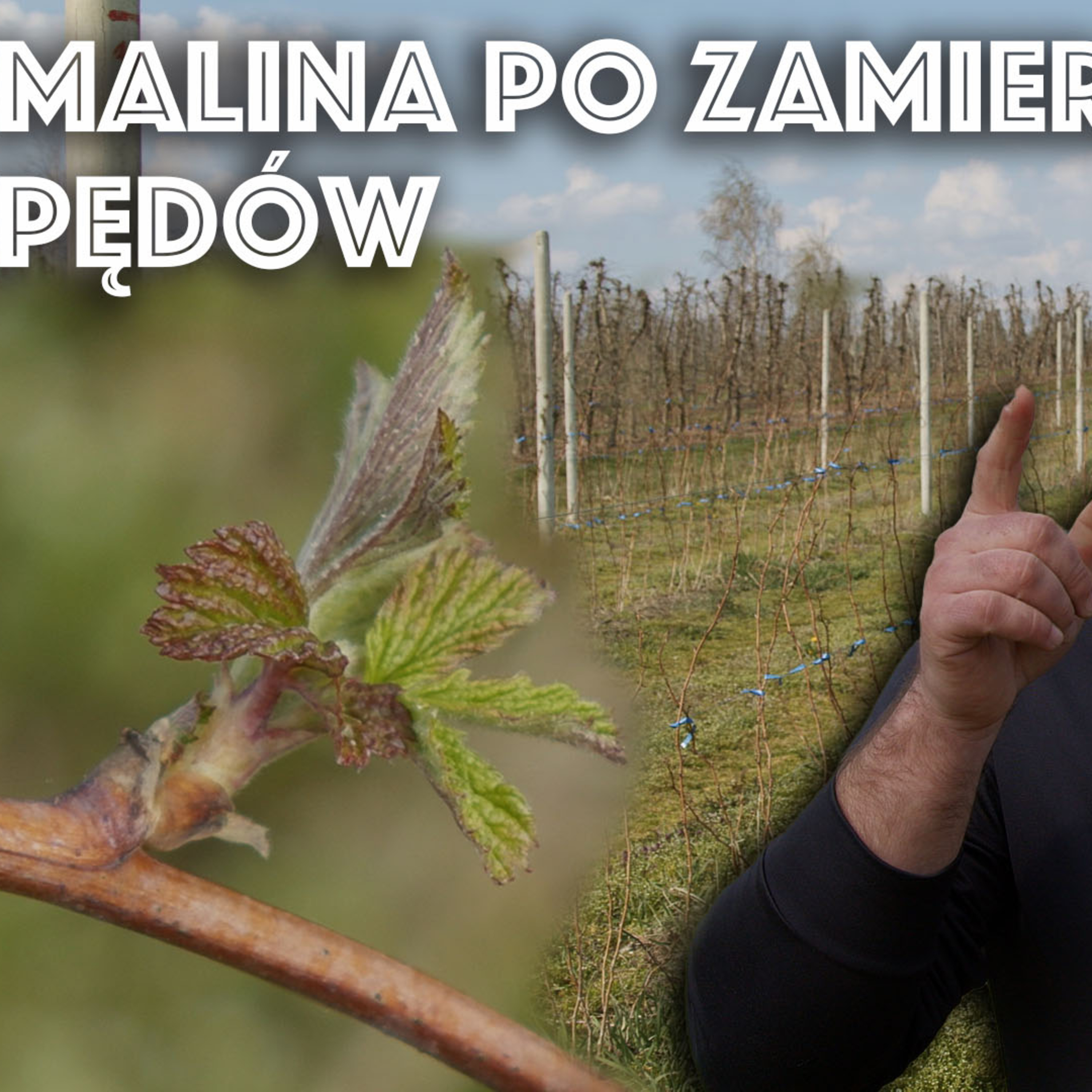 Przegląd Sadowniczy - sadownictwo