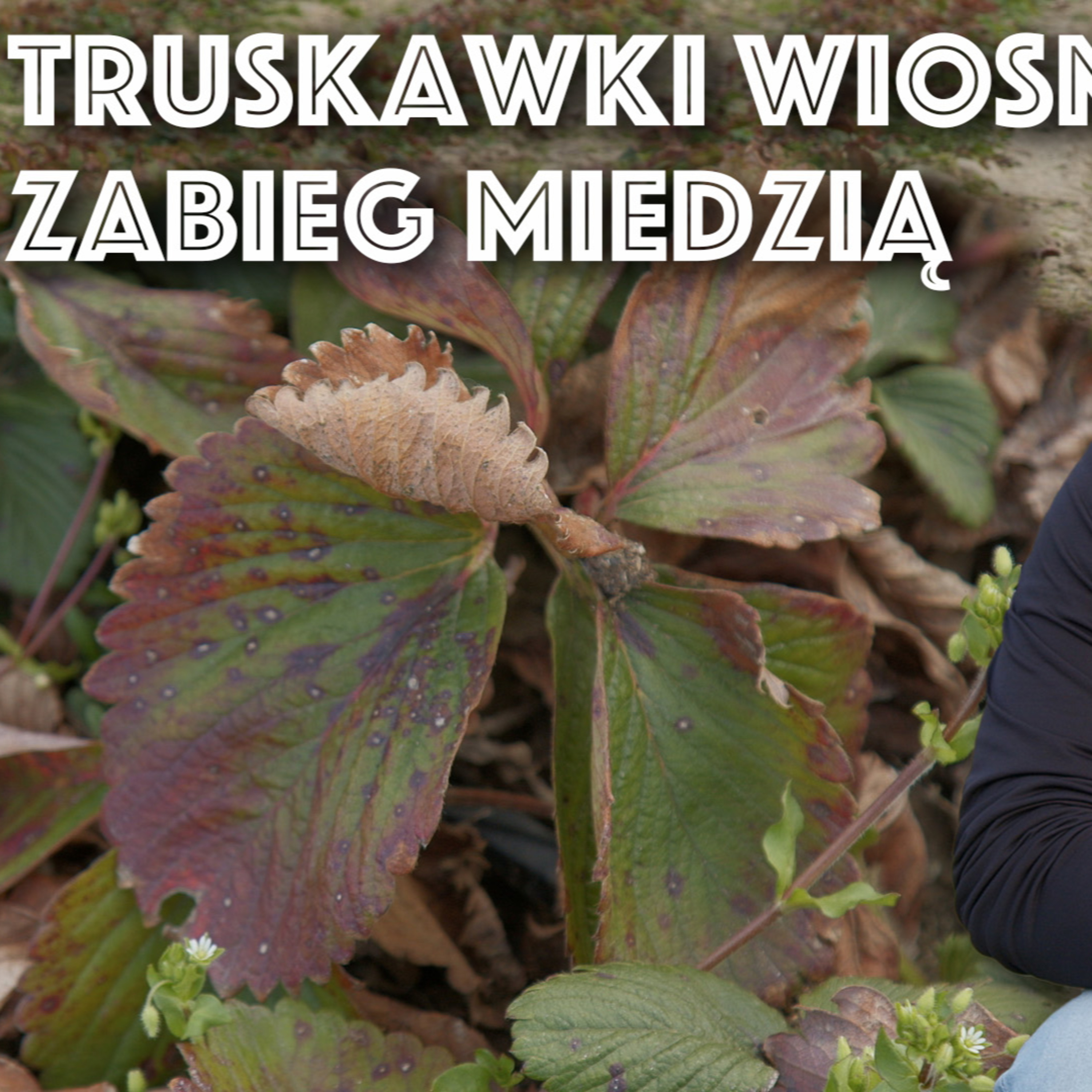 Przegląd Sadowniczy - sadownictwo