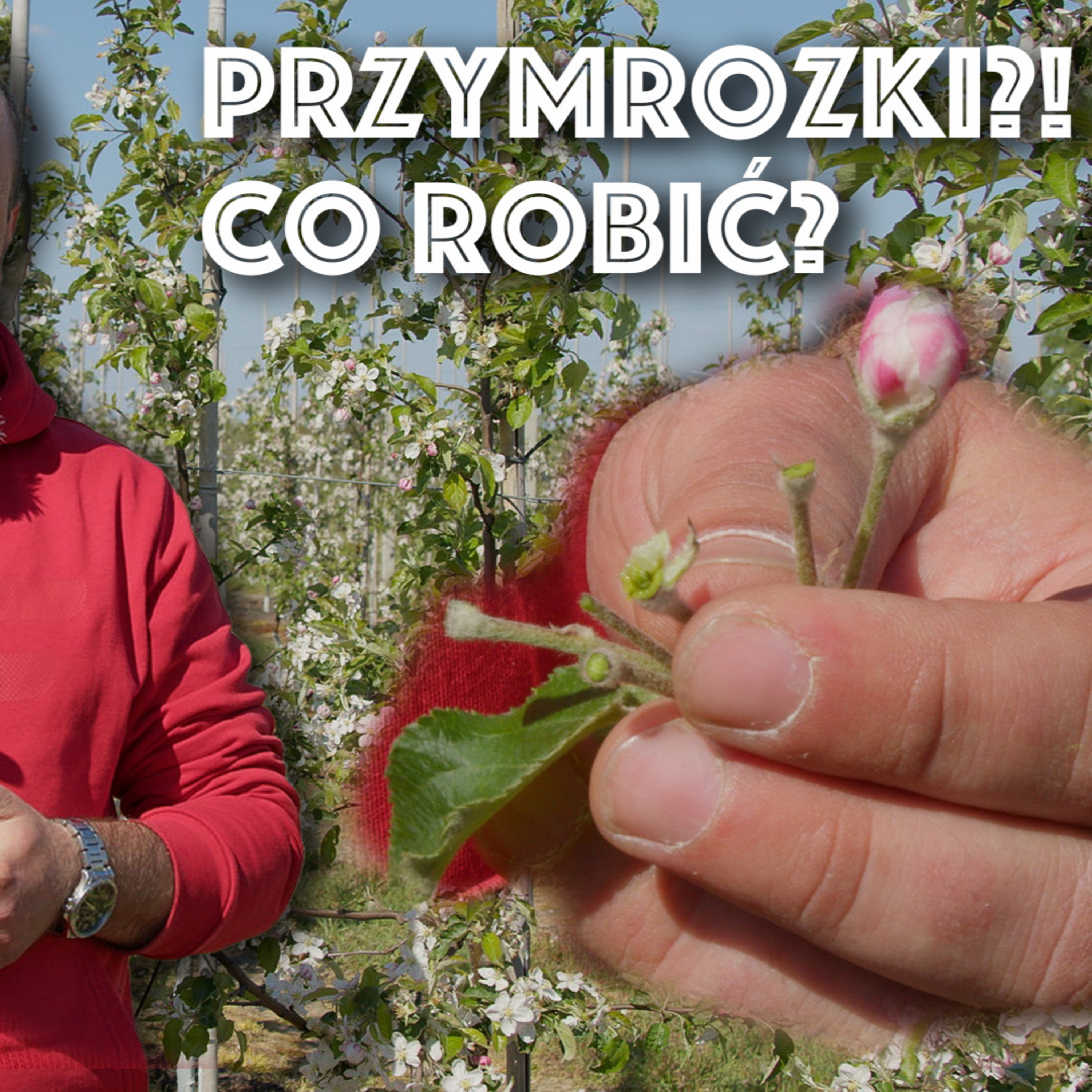 Przegląd Sadowniczy - sadownictwo