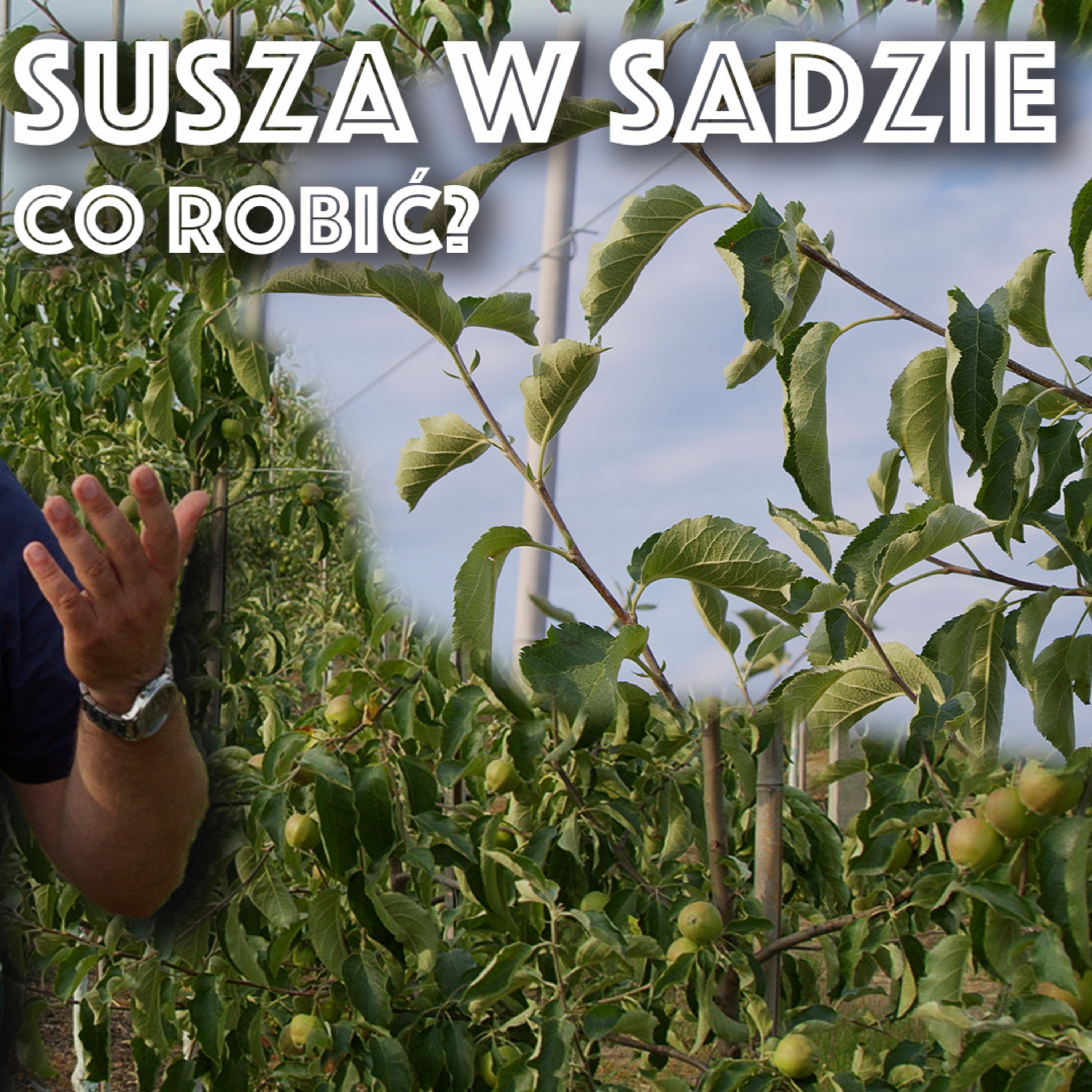 Przegląd Sadowniczy - sadownictwo