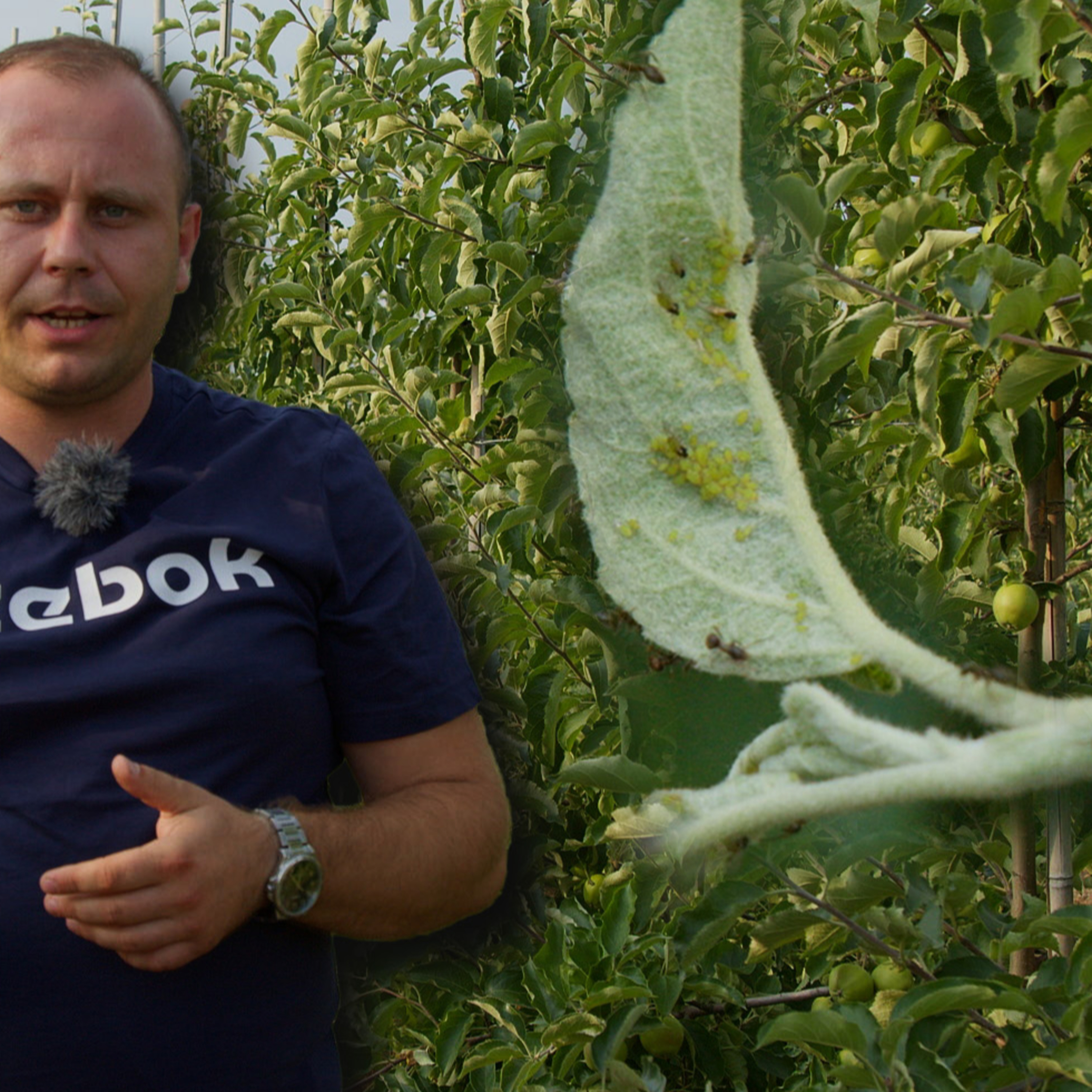 Przegląd Sadowniczy - sadownictwo