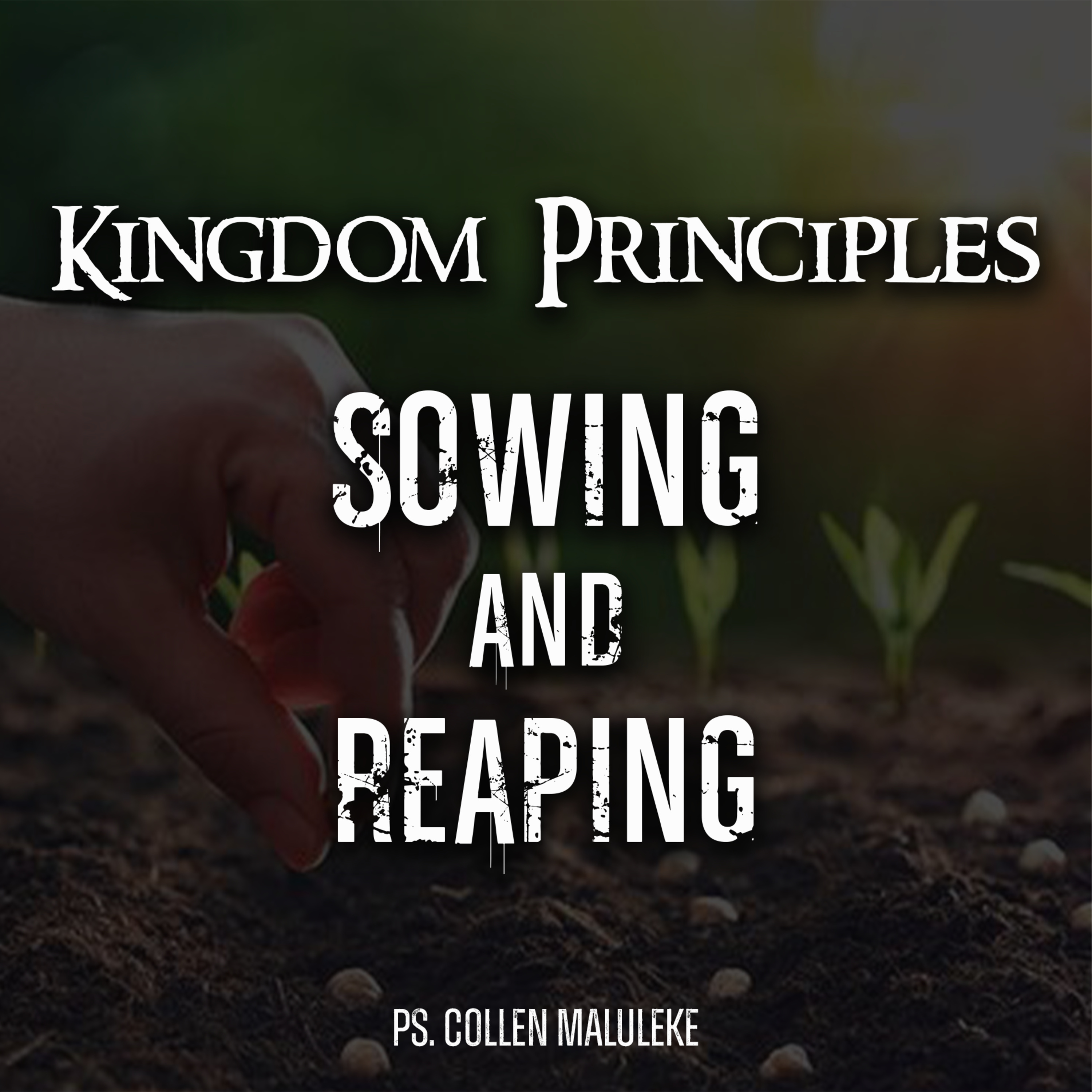 Kingdom Principles - Sowing and Reaping by Ps Collen Maluleke episode artwork