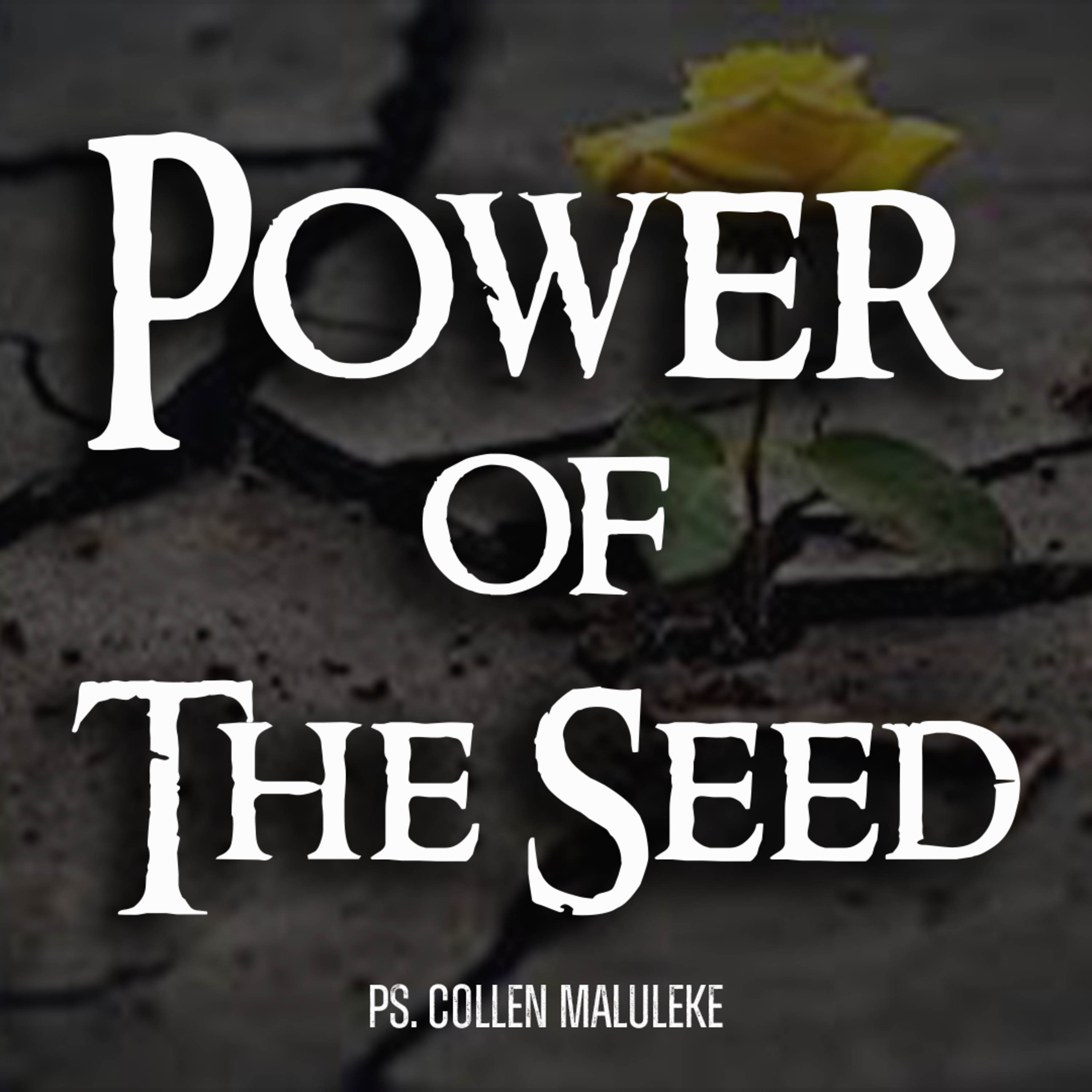 Power of The Seed by Ps Collen Maluleke episode artwork