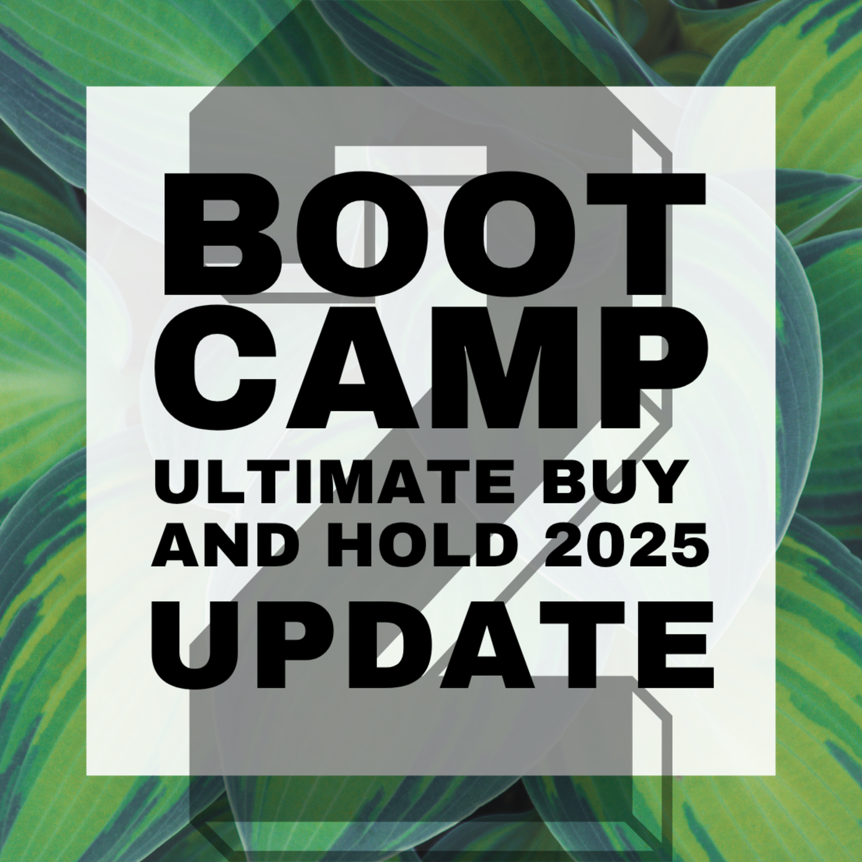 Bootcamp #2 The Ultimate Buy and Hold Portfolio: Update 2025