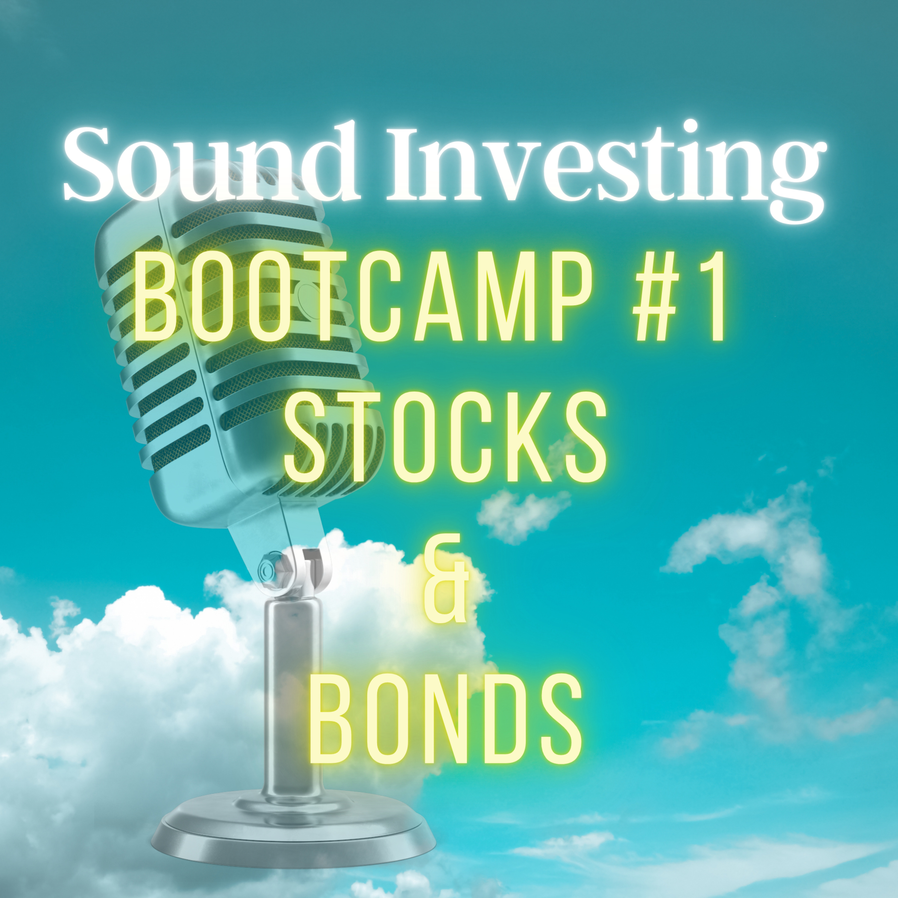Stocks vs Bonds: The $10 Million Decision | Stocks and Bonds