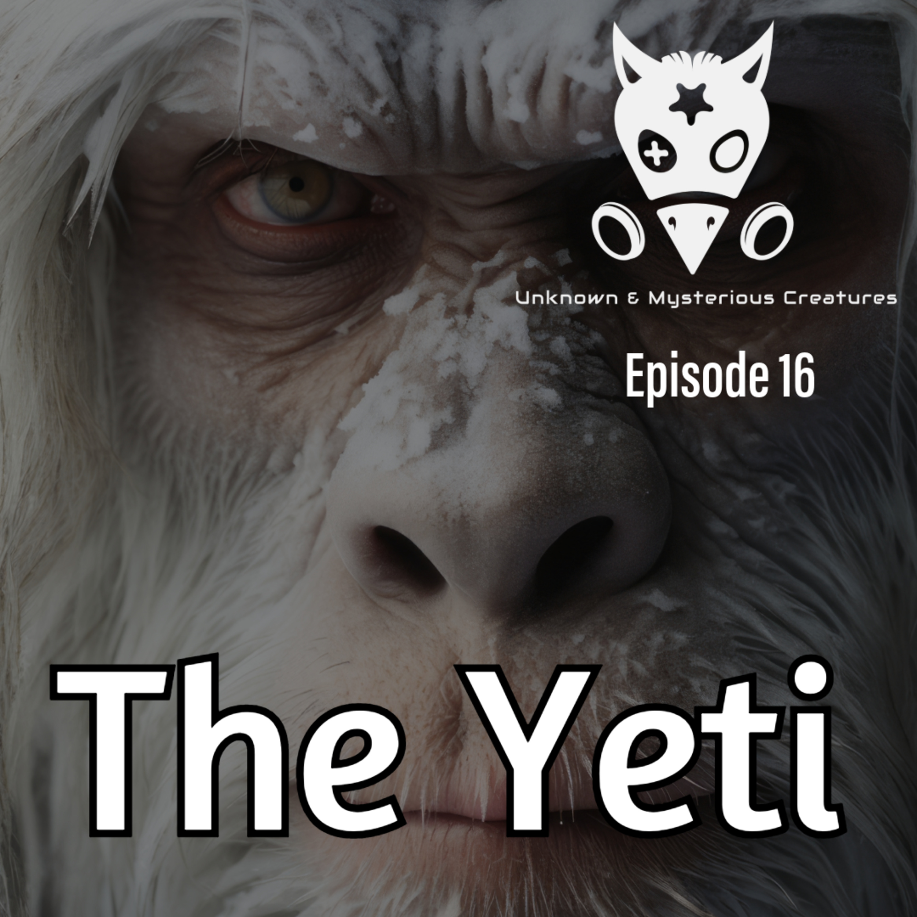 16. The Yeti episode artwork