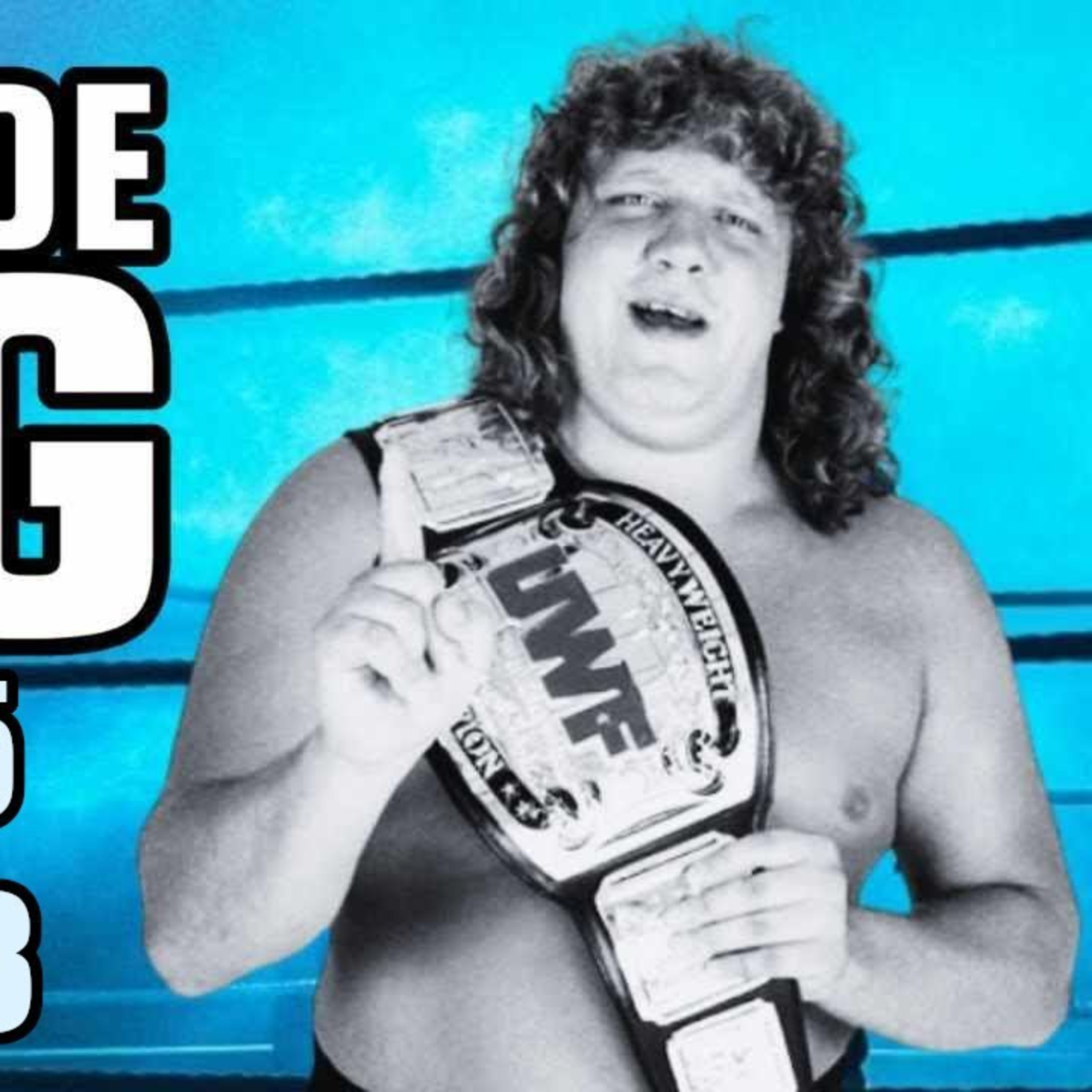 Review Of Dark Side Of The Ring (Season 5: Episode 3): "Terry Gordy: Final Flight of the Freebird" episode artwork