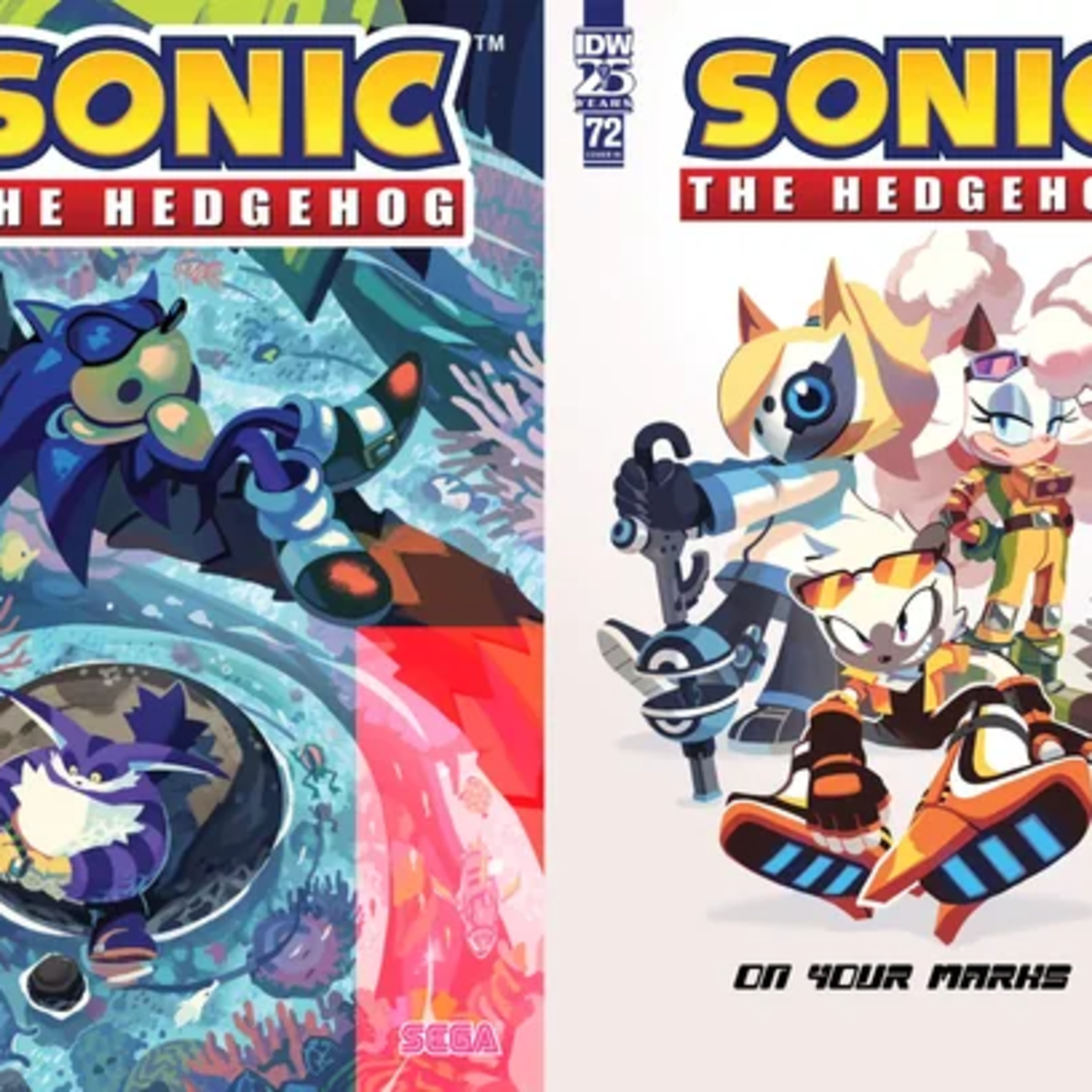 Ian Flynn Returns To IDW Sonic To Ensure Surge's Redemption In This Sonic Riders Inspired Story? episode artwork