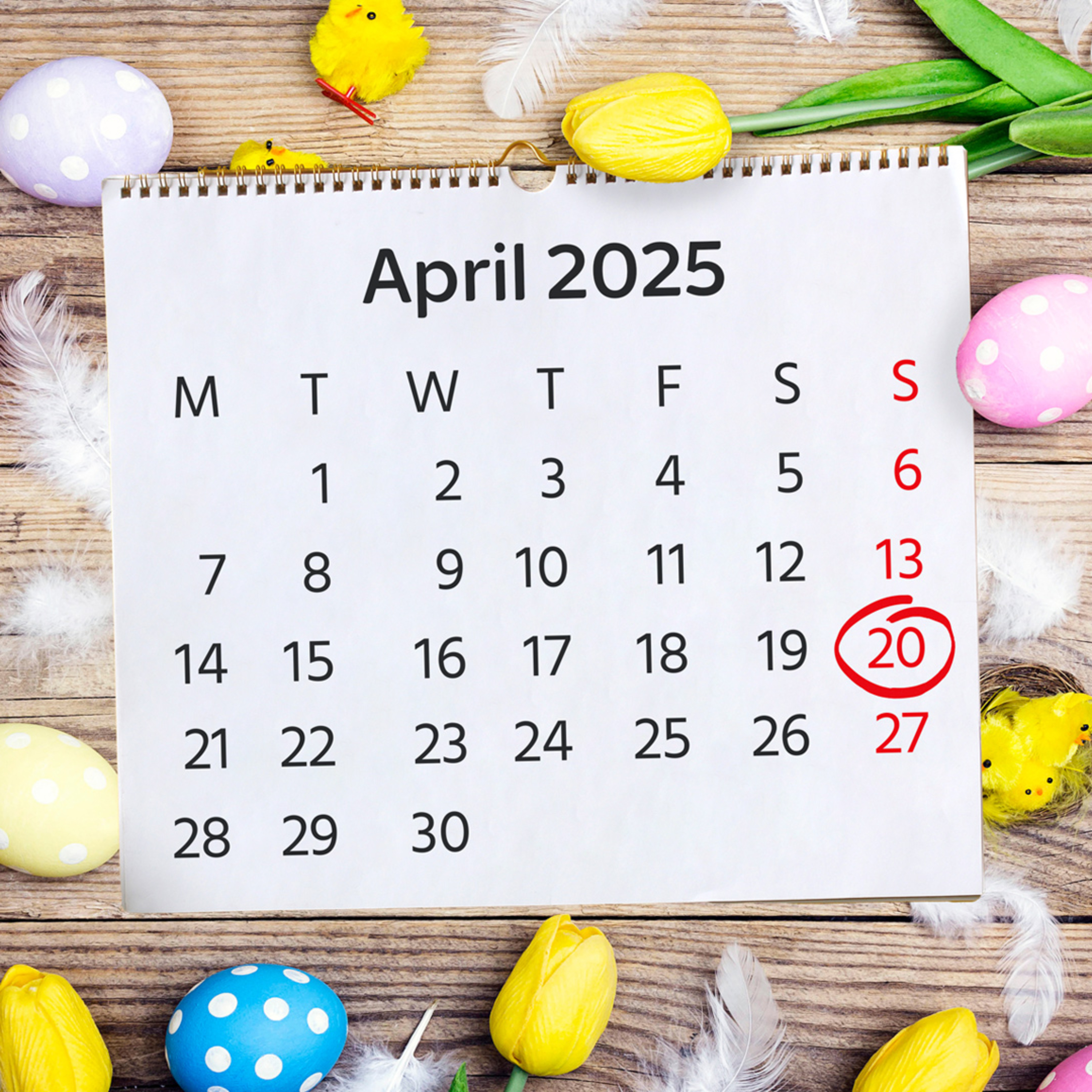 EASTER WEEKEND 2025 IS GOING TO BE A BUSY WEEKEND THANKS TO WRESTLEMANIA 41 AND BABSCON 2025! episode artwork