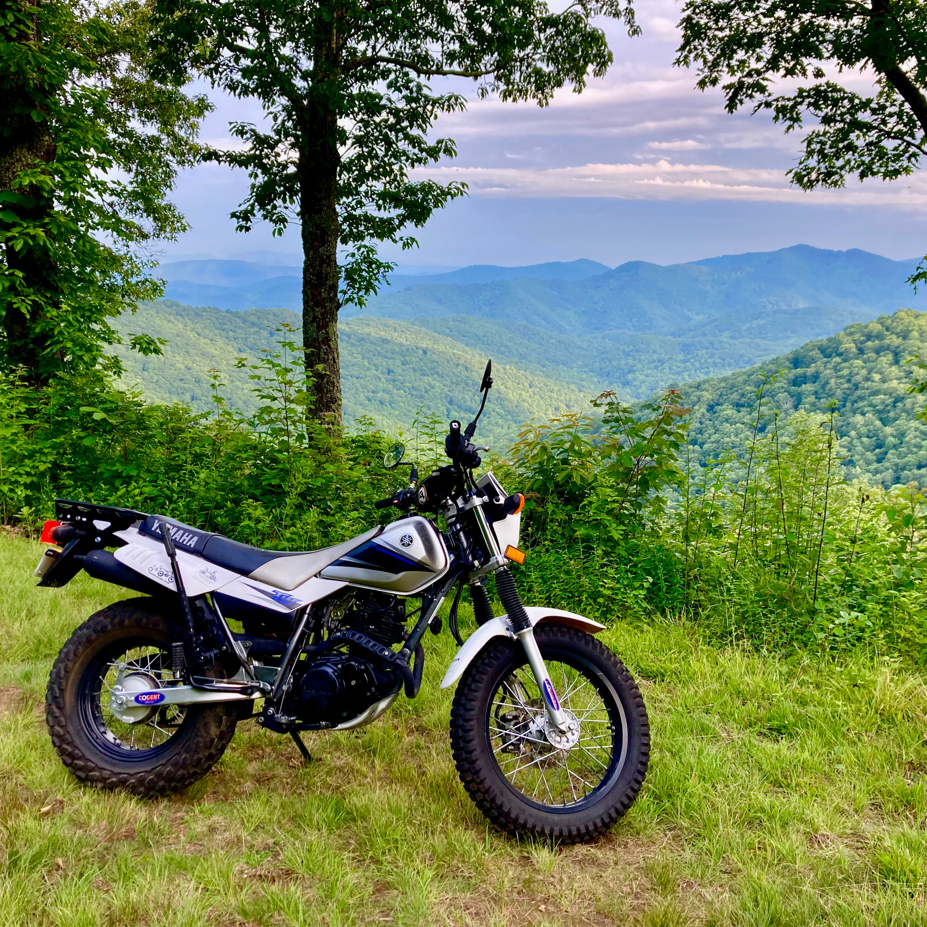 Off-Road Rodeo