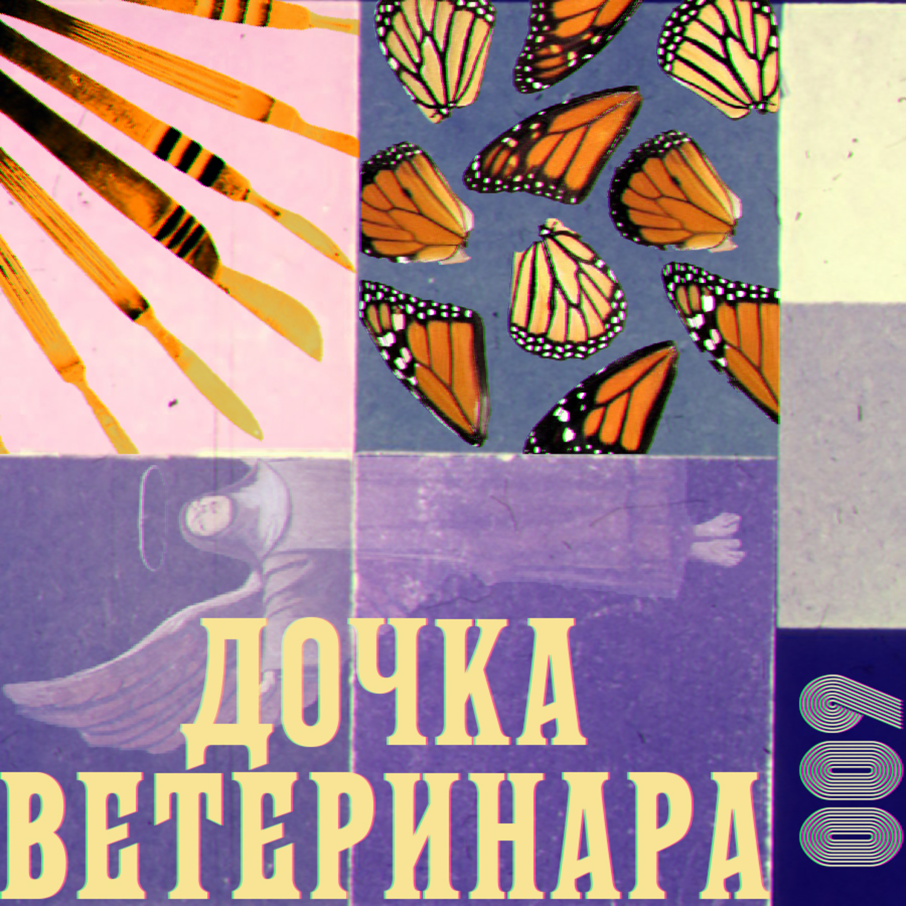 Бунтуй, левітуй. «Дочка ветеринара» (1959) Барбари Комінс