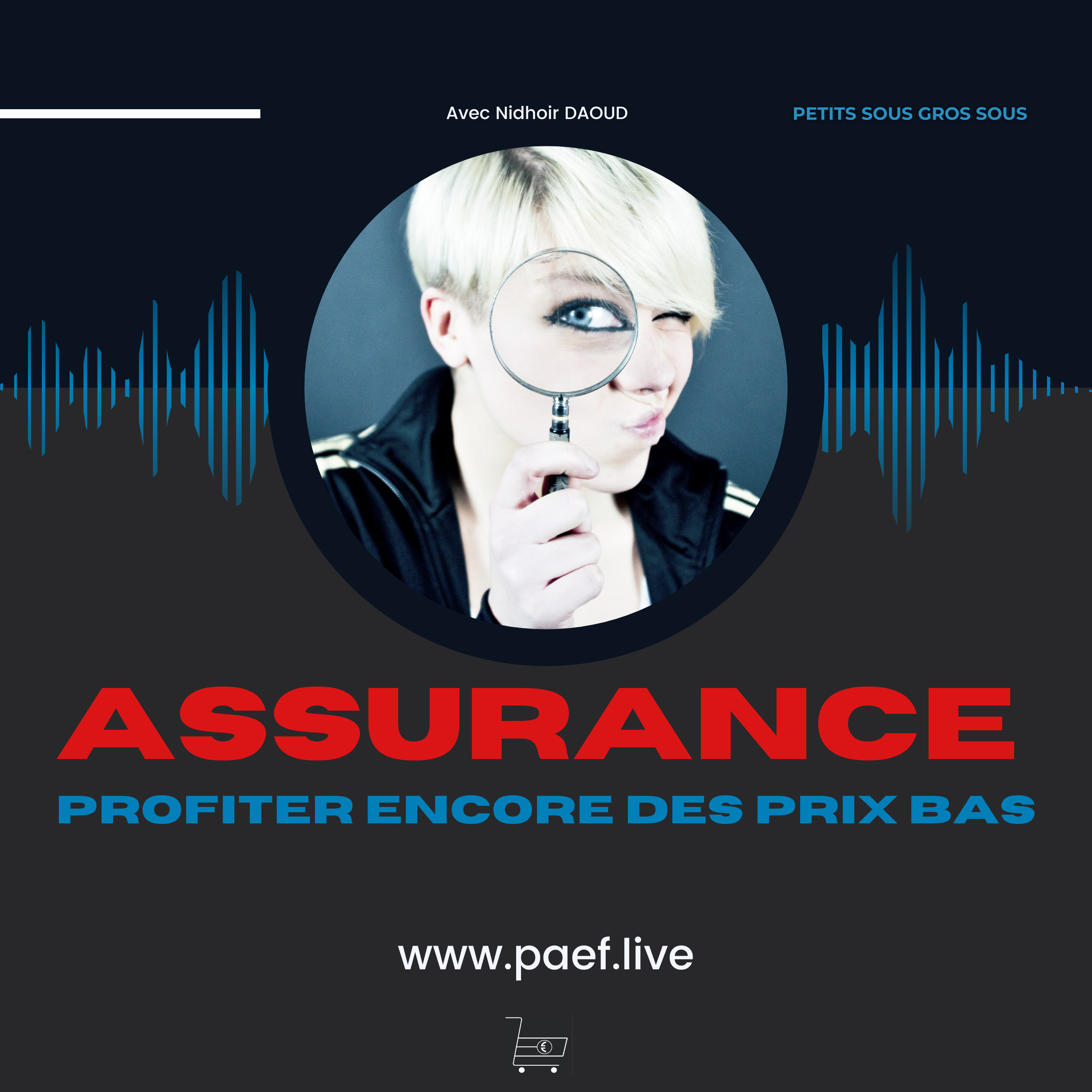 Petits sous GROS SOUS