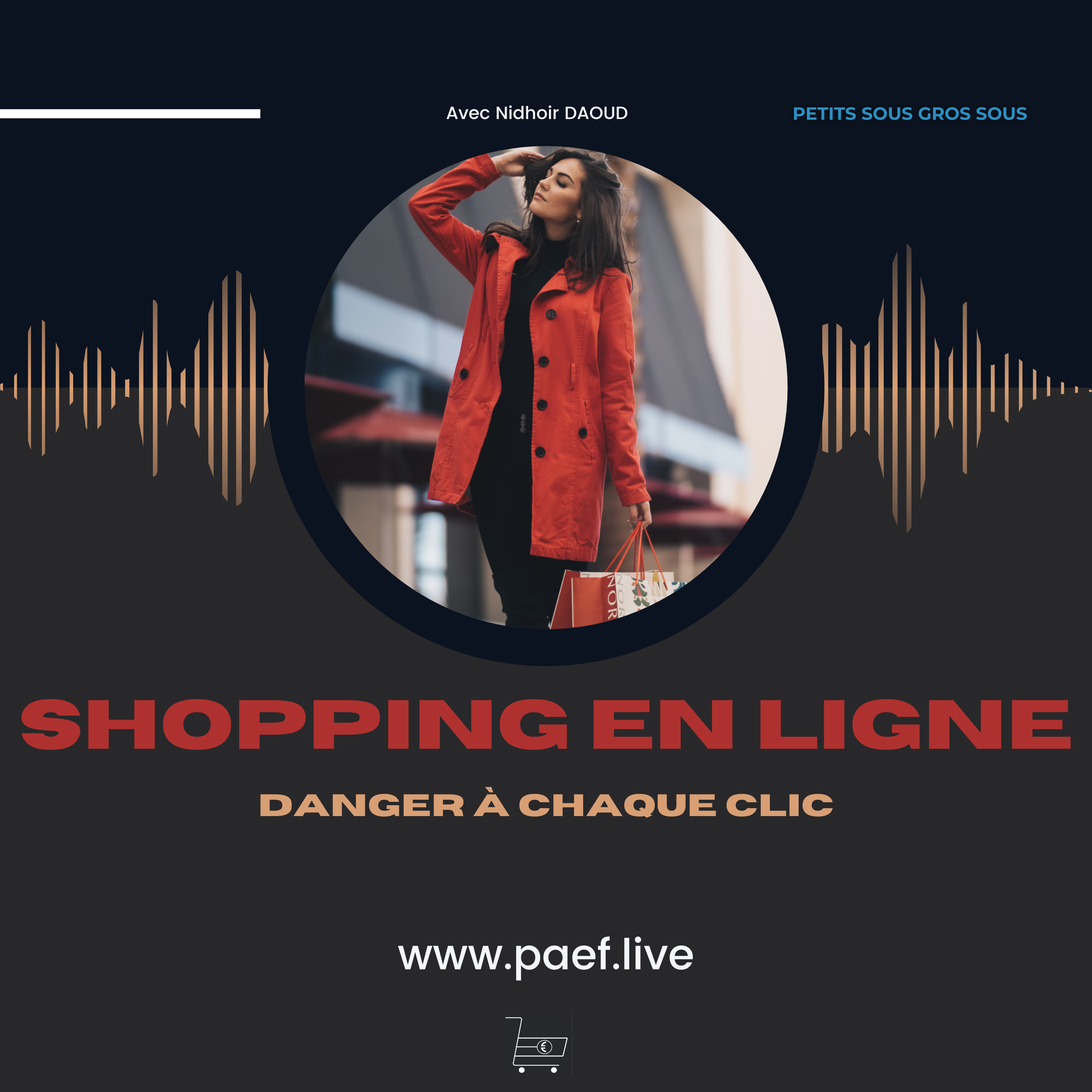 Shopping en ligne danger à chaque clic ! (leçon n#7)