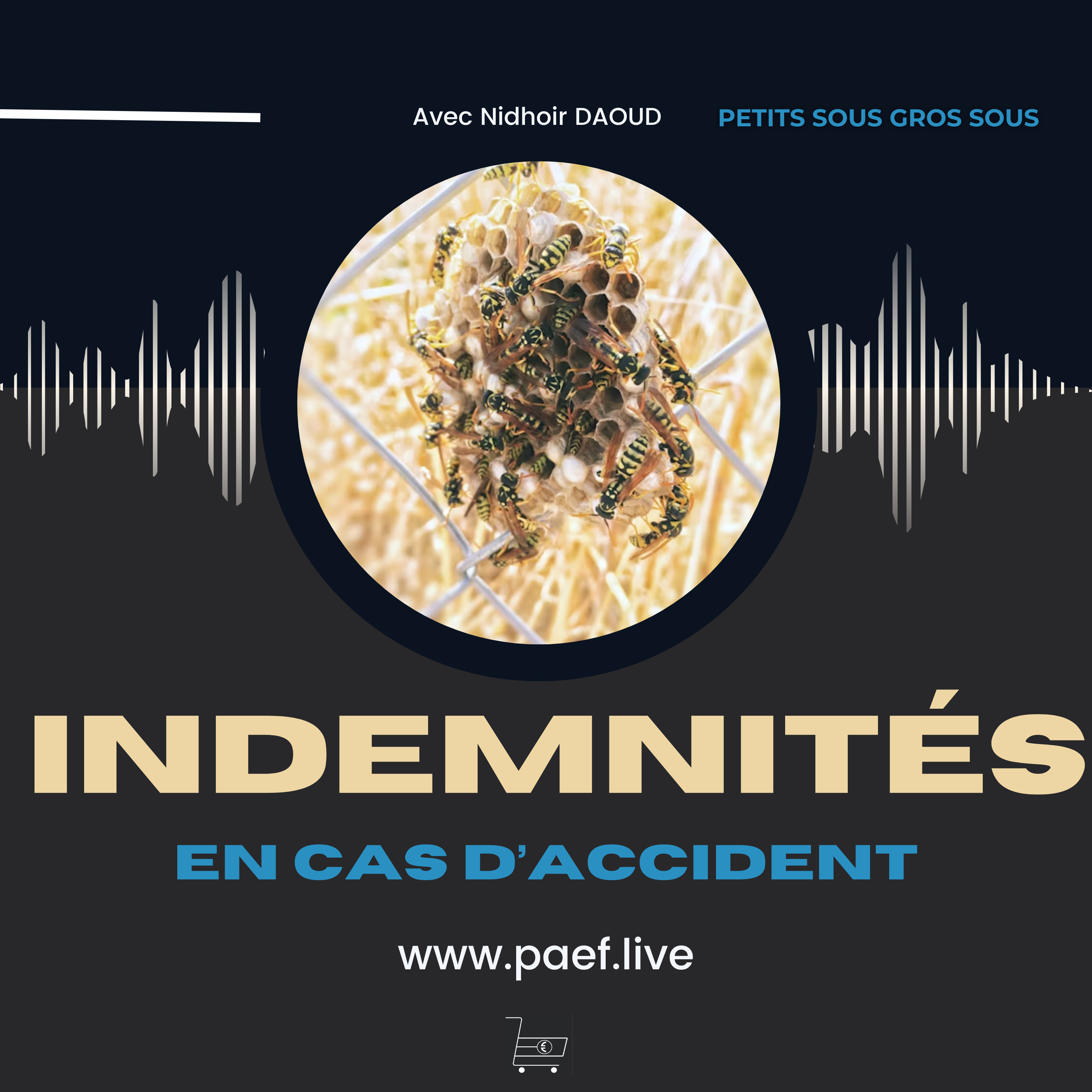 Indemnités versées en cas d’accident de la vie ?