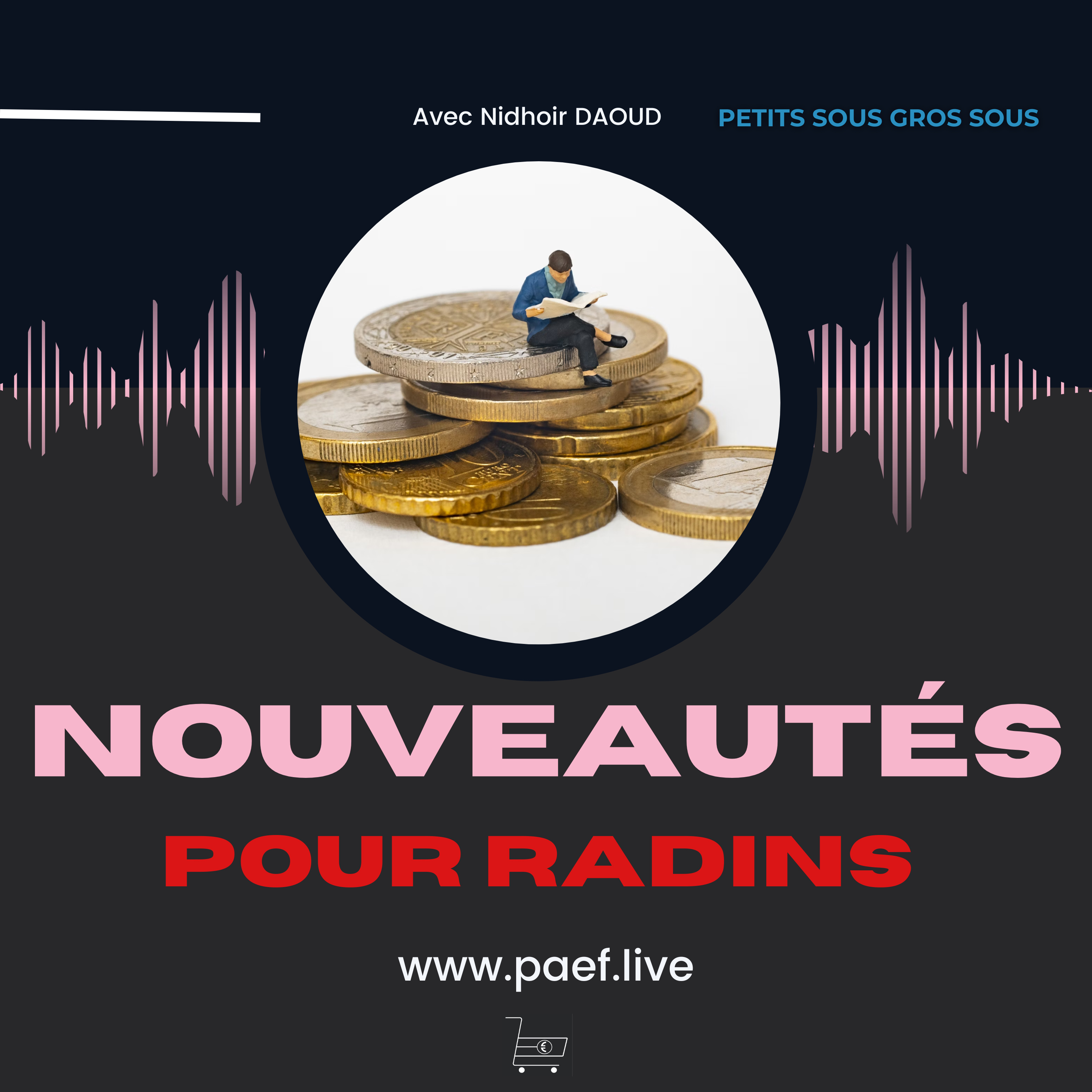 Petits sous GROS SOUS