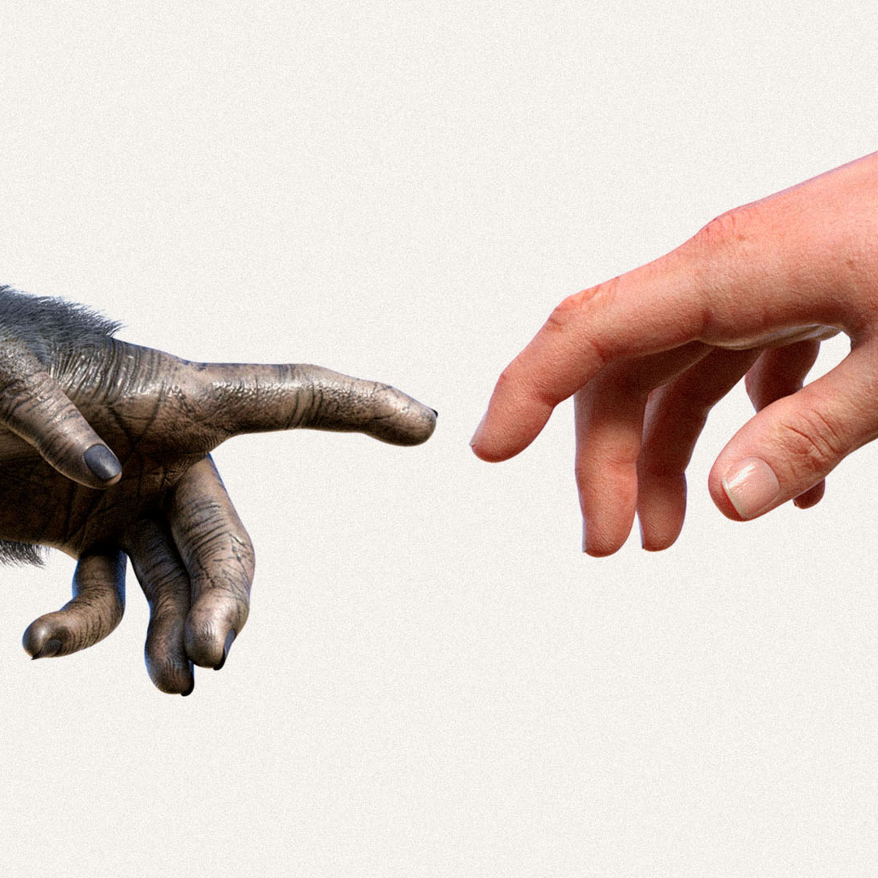 The Entire History of Humanity in 10 Minutes episode artwork