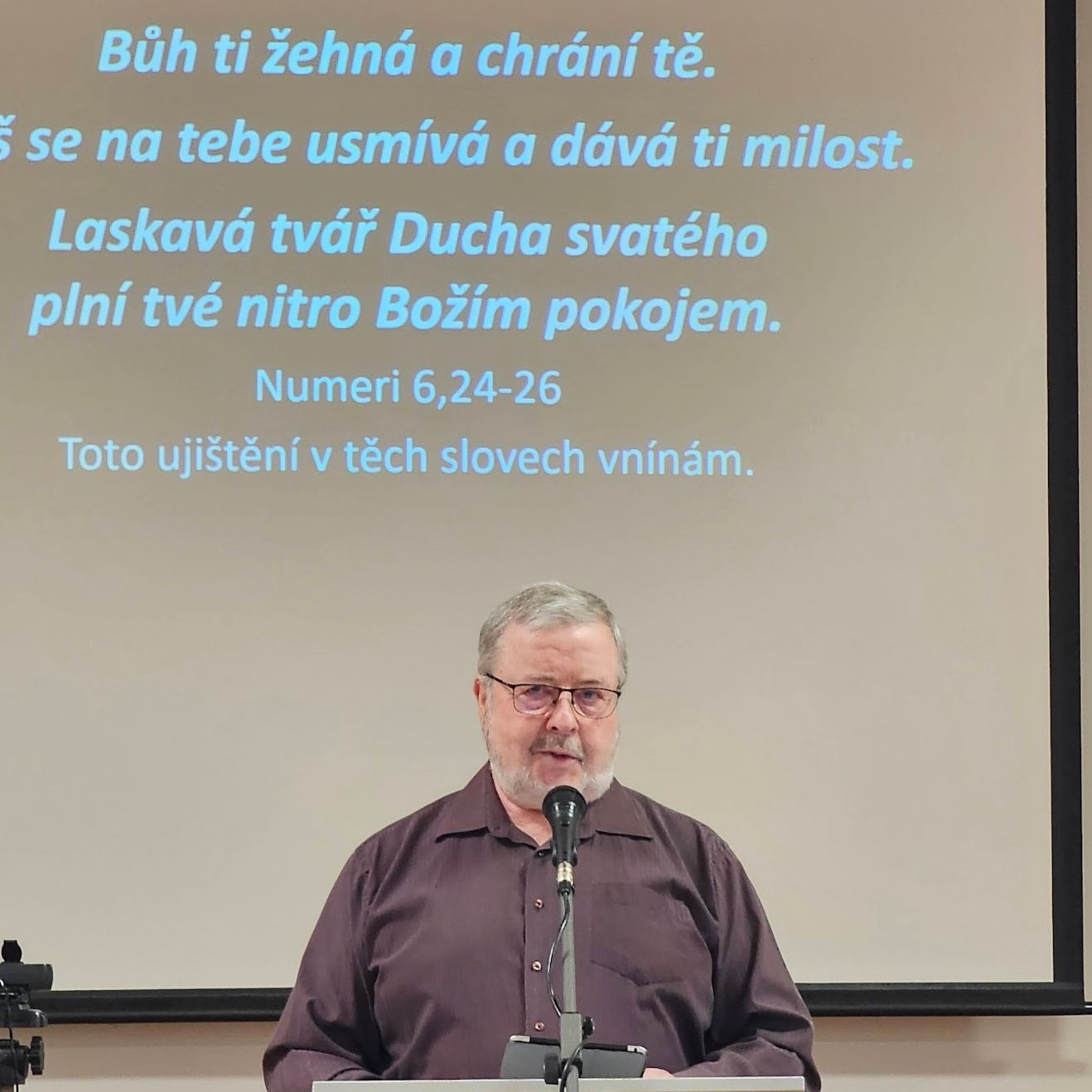 CASD BRNO – LESNA