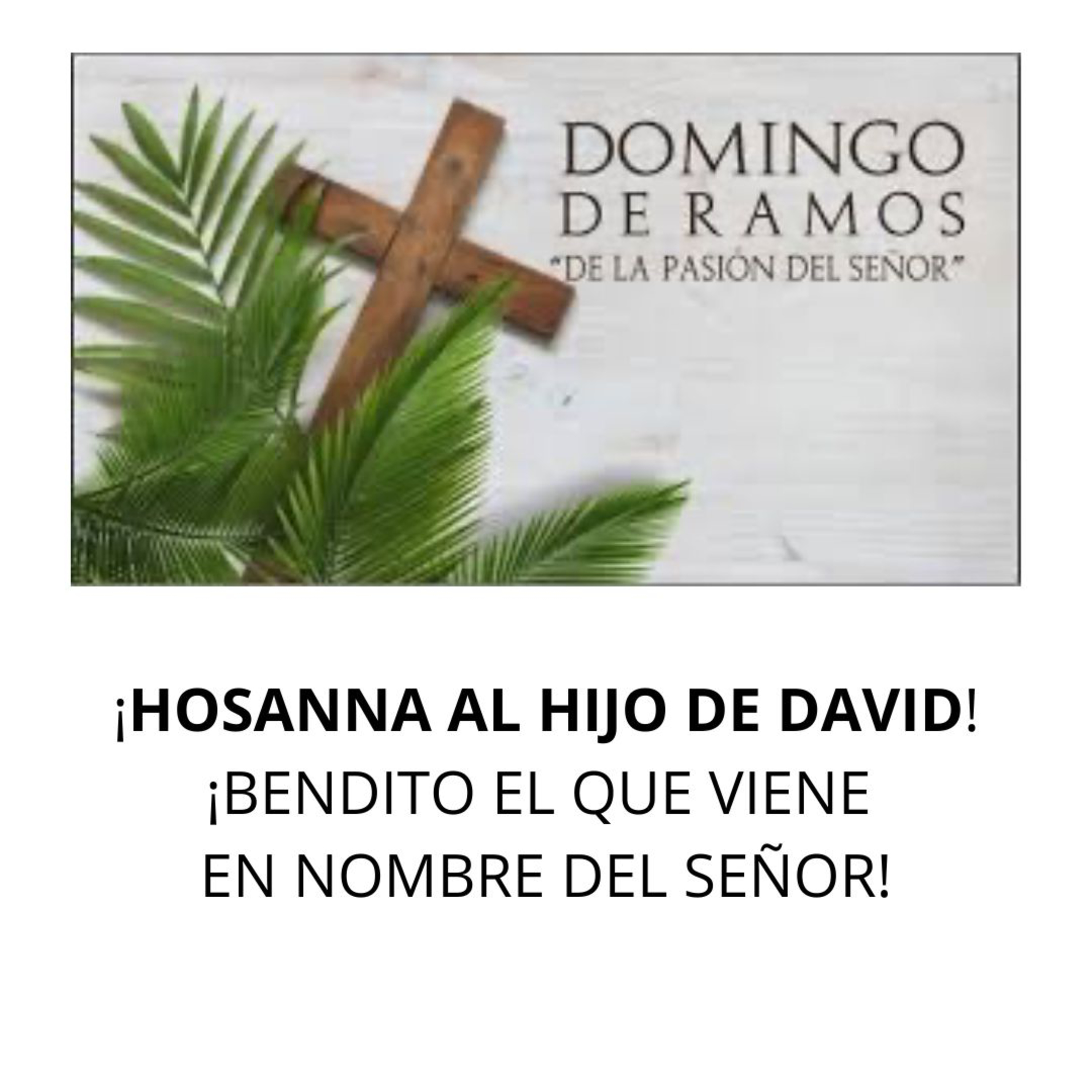Portada de Para que Cristo Reine