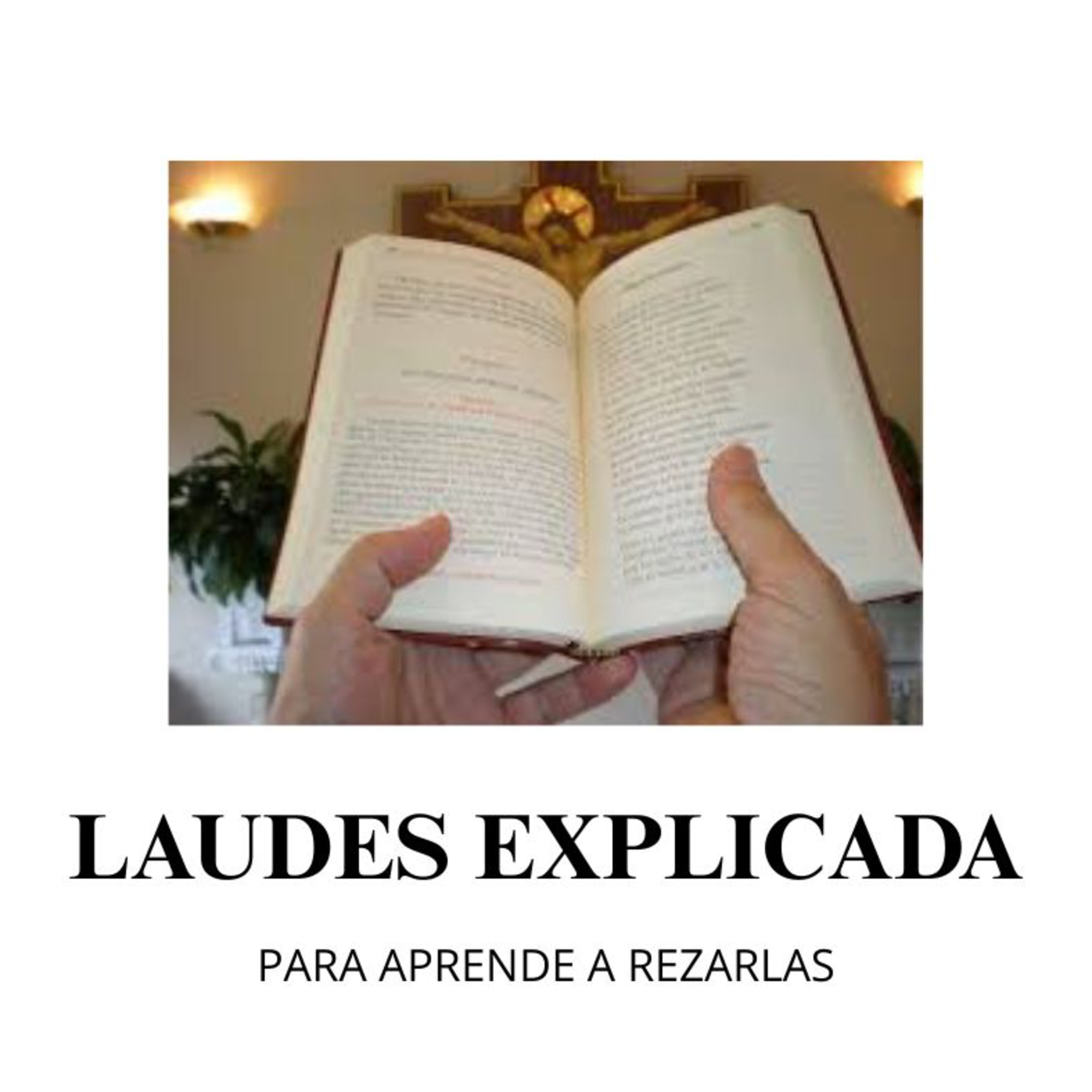 LAUDES EXPLICADAS. SÁBADO XV DEL T. ORDINARIO episode artwork