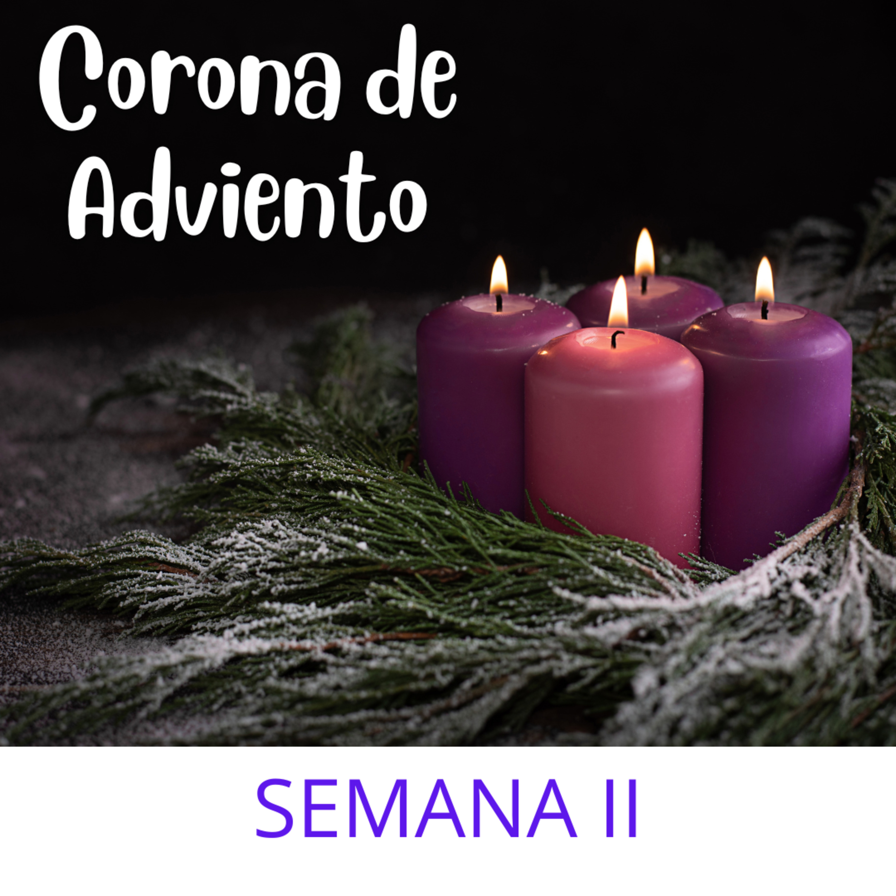 ¡VEN SEÑOR JESÚS! Oración Corona. Semana 2. episode artwork