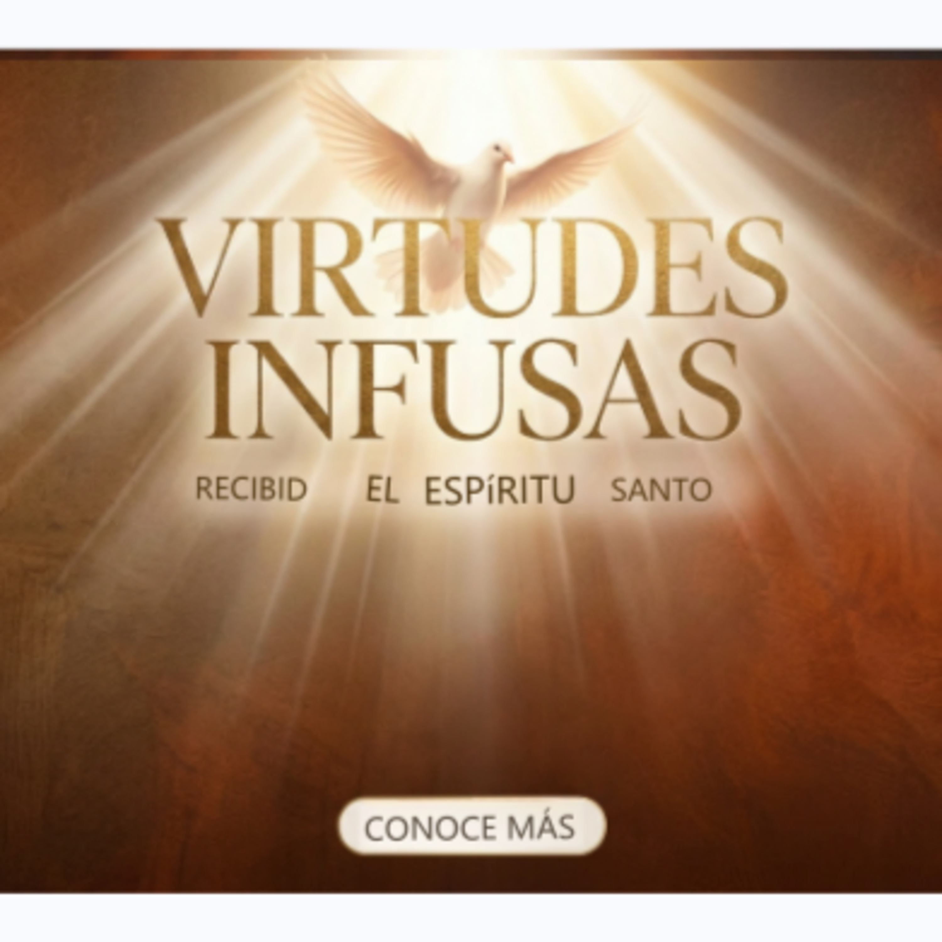 VIRTUD DE LA PRUDENCIA: Discernir el bien y reconocer los medios.