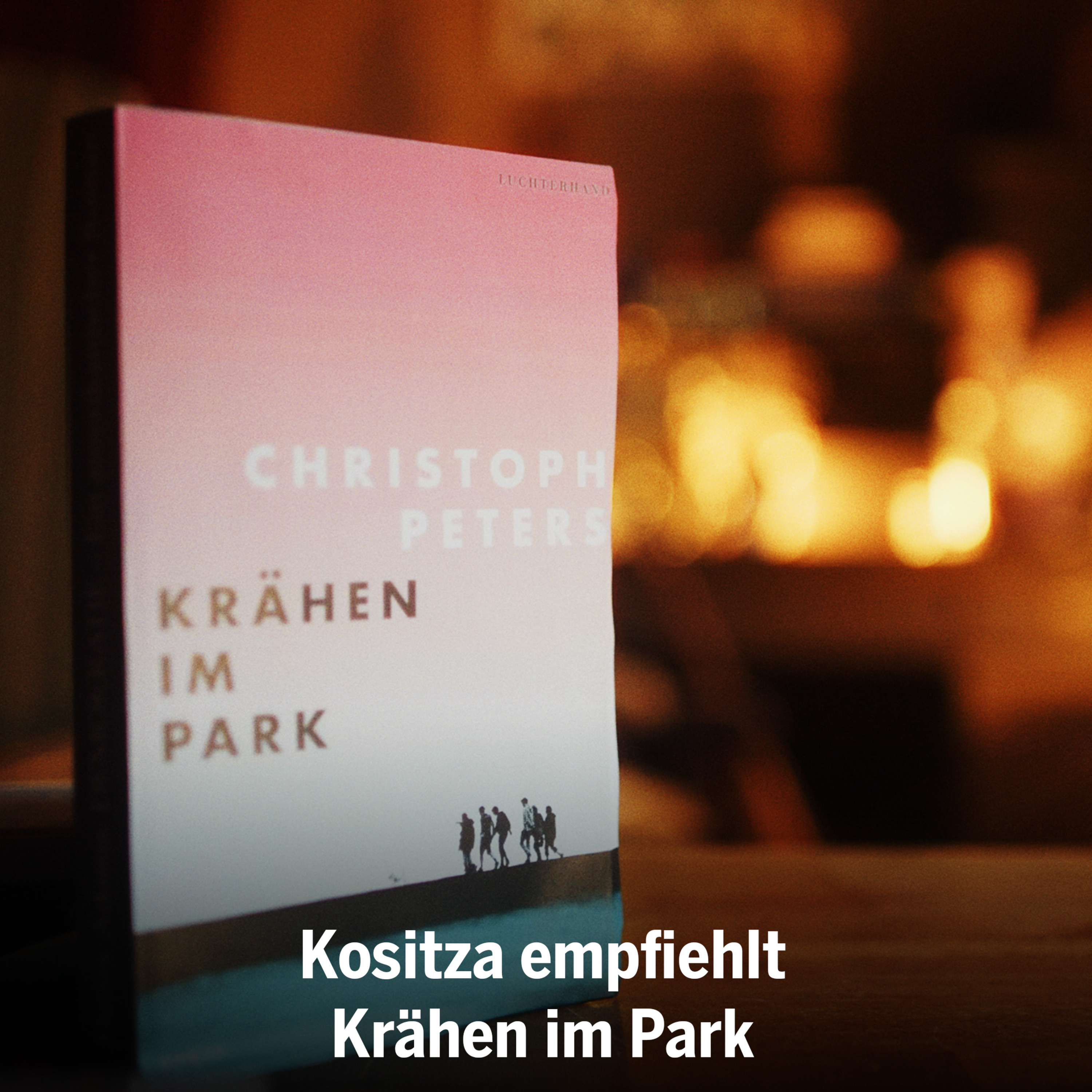 »Krähen im Park« - Ellen Kositza empfiehlt den neuen Roman von Christoph Peters episode artwork