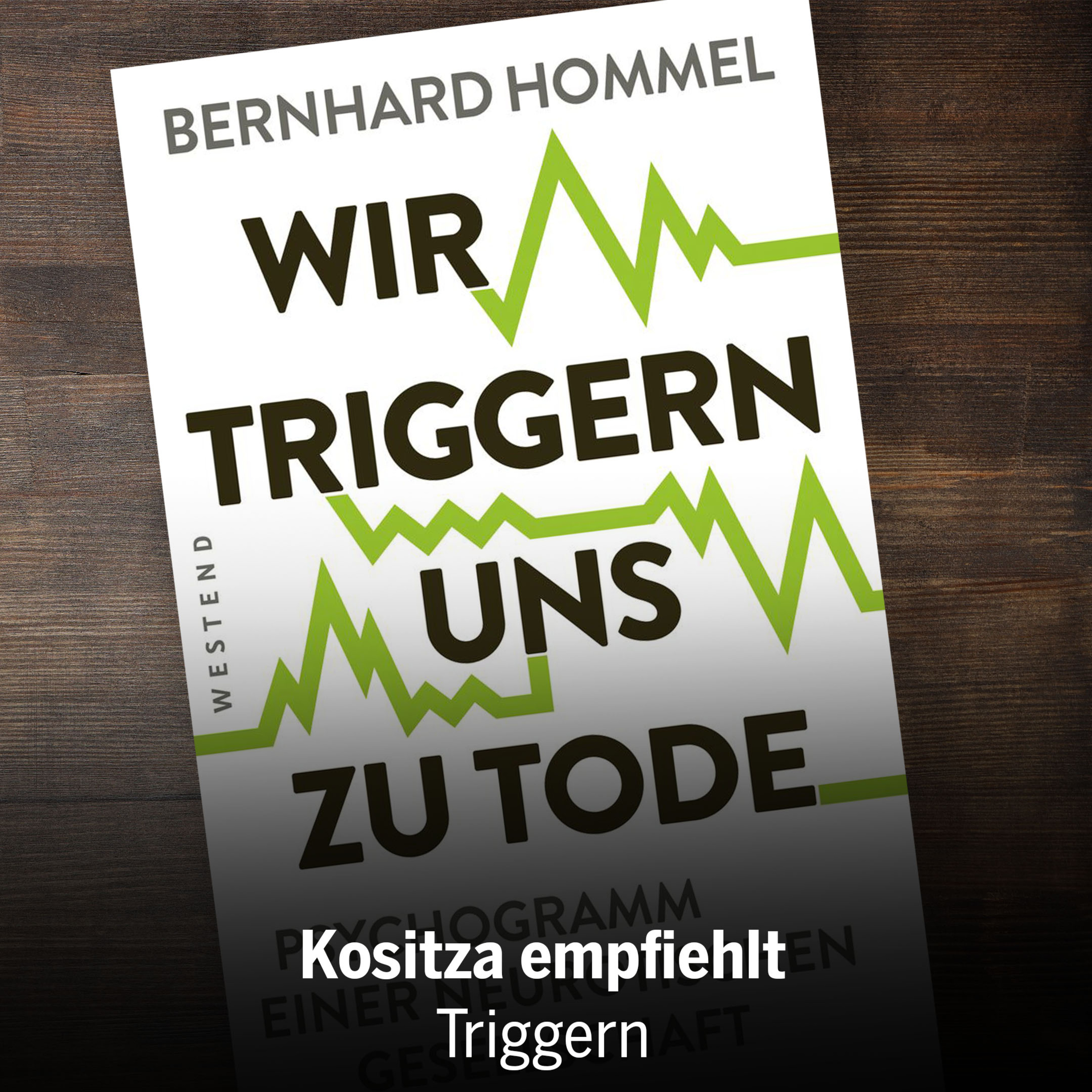 »Wir triggern uns zu Tode« - Ellen Kositza empfiehlt die Analyse von Bernhard Hommel episode artwork