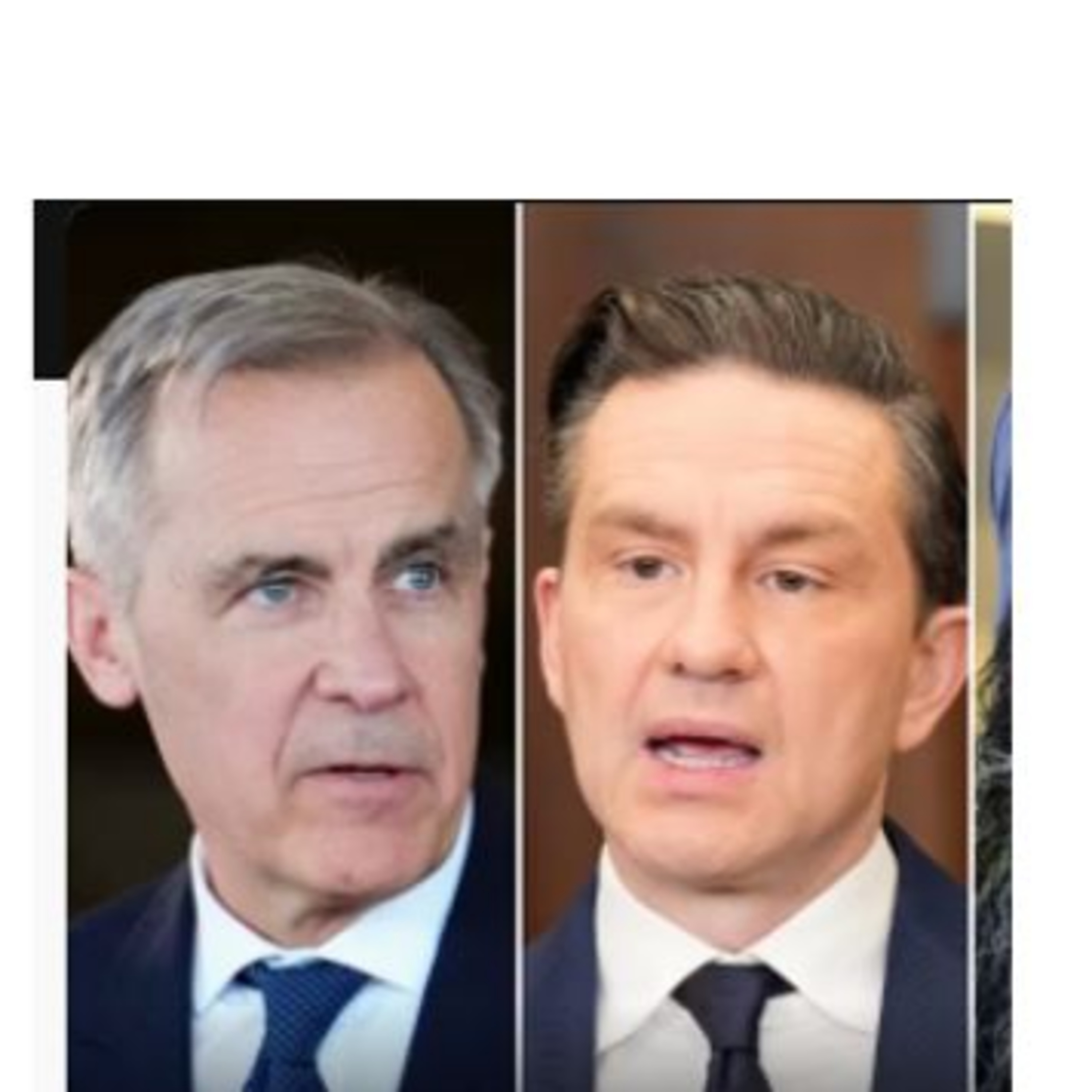 The Great Canadian Talk Show