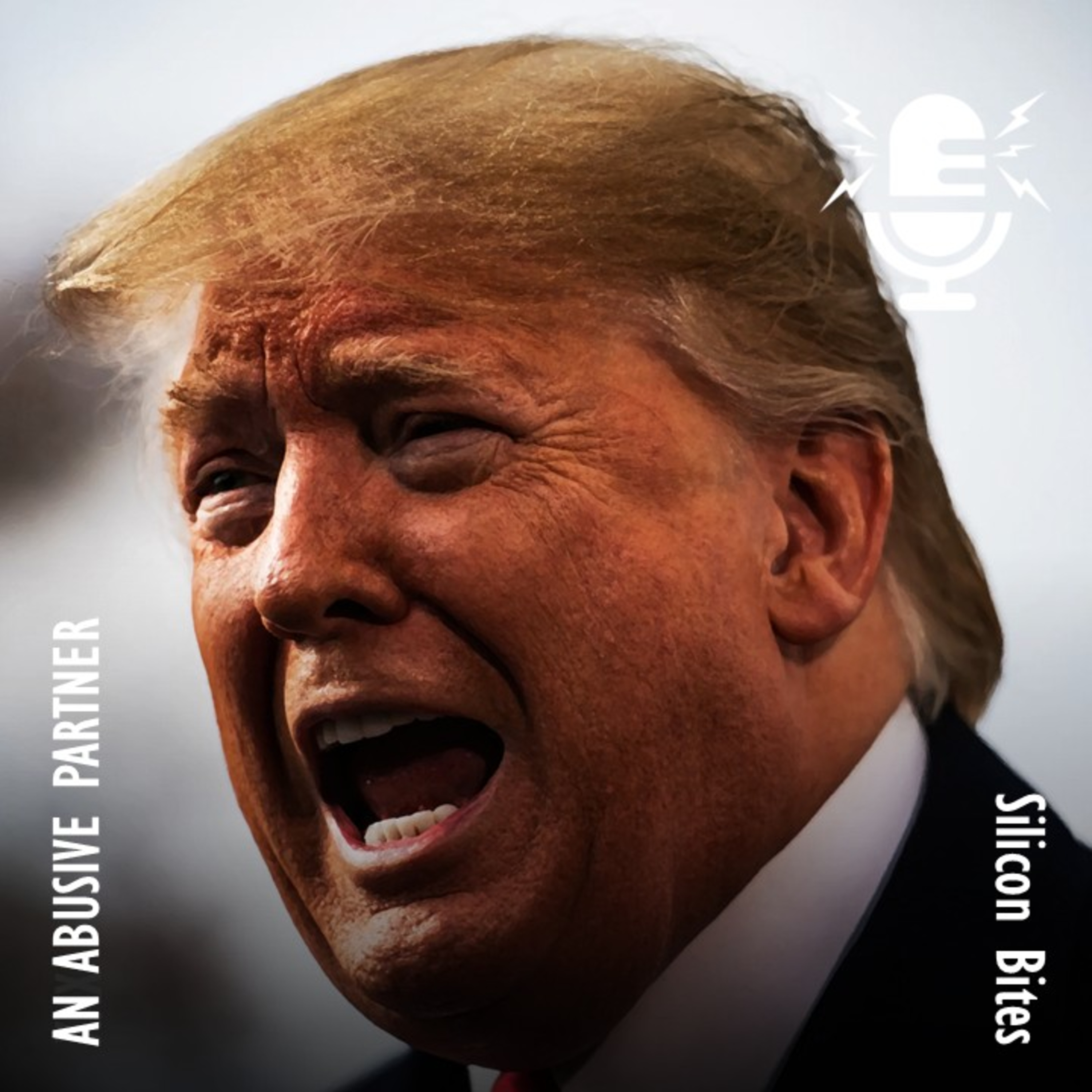 Silicon Bites #105 - US has Become an Abusive 'Partner' and Must not have Veto Over Allies' Security