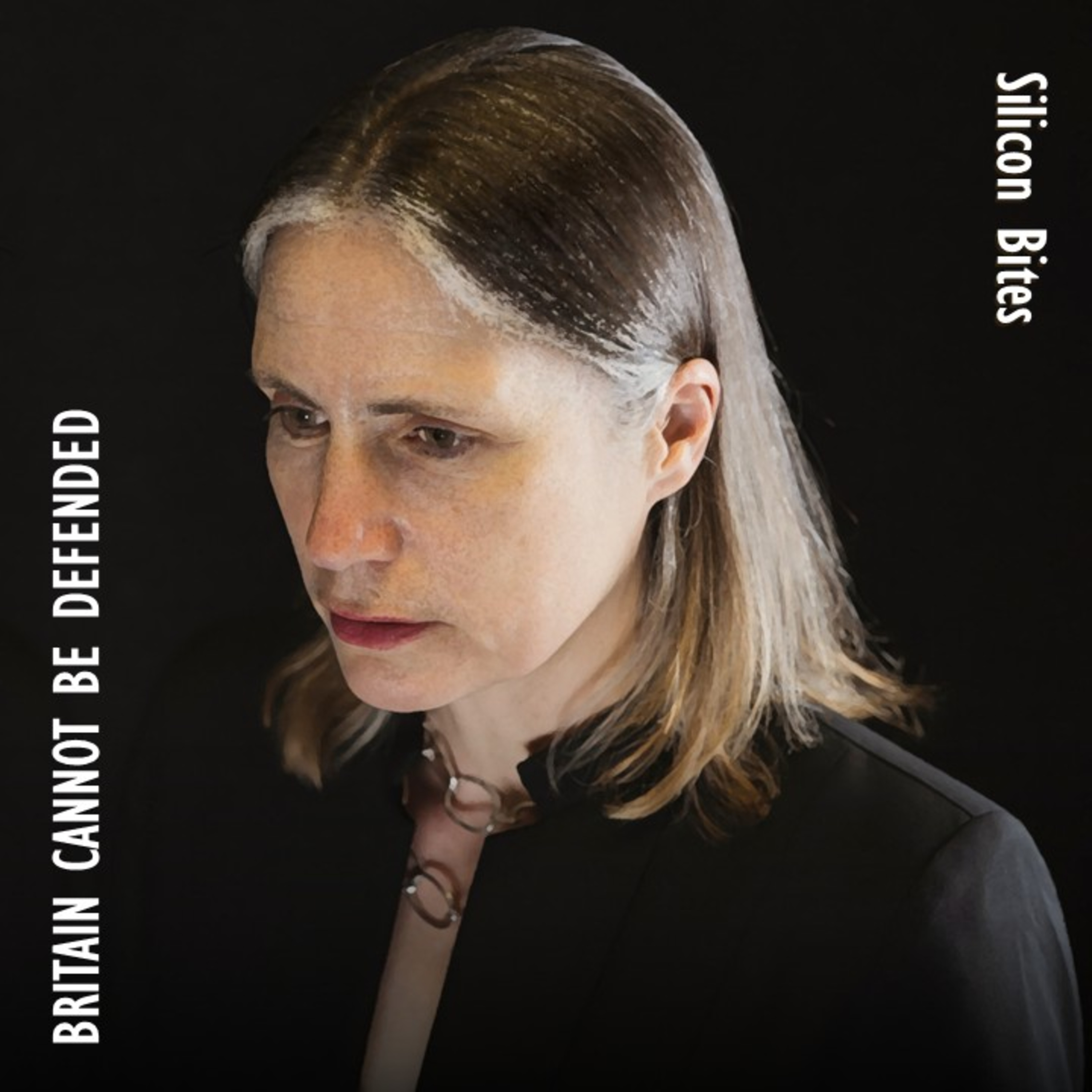 Three Experts SPEAK OUT - Britain Cannot be Defended - Dangerous Complacency! artwork