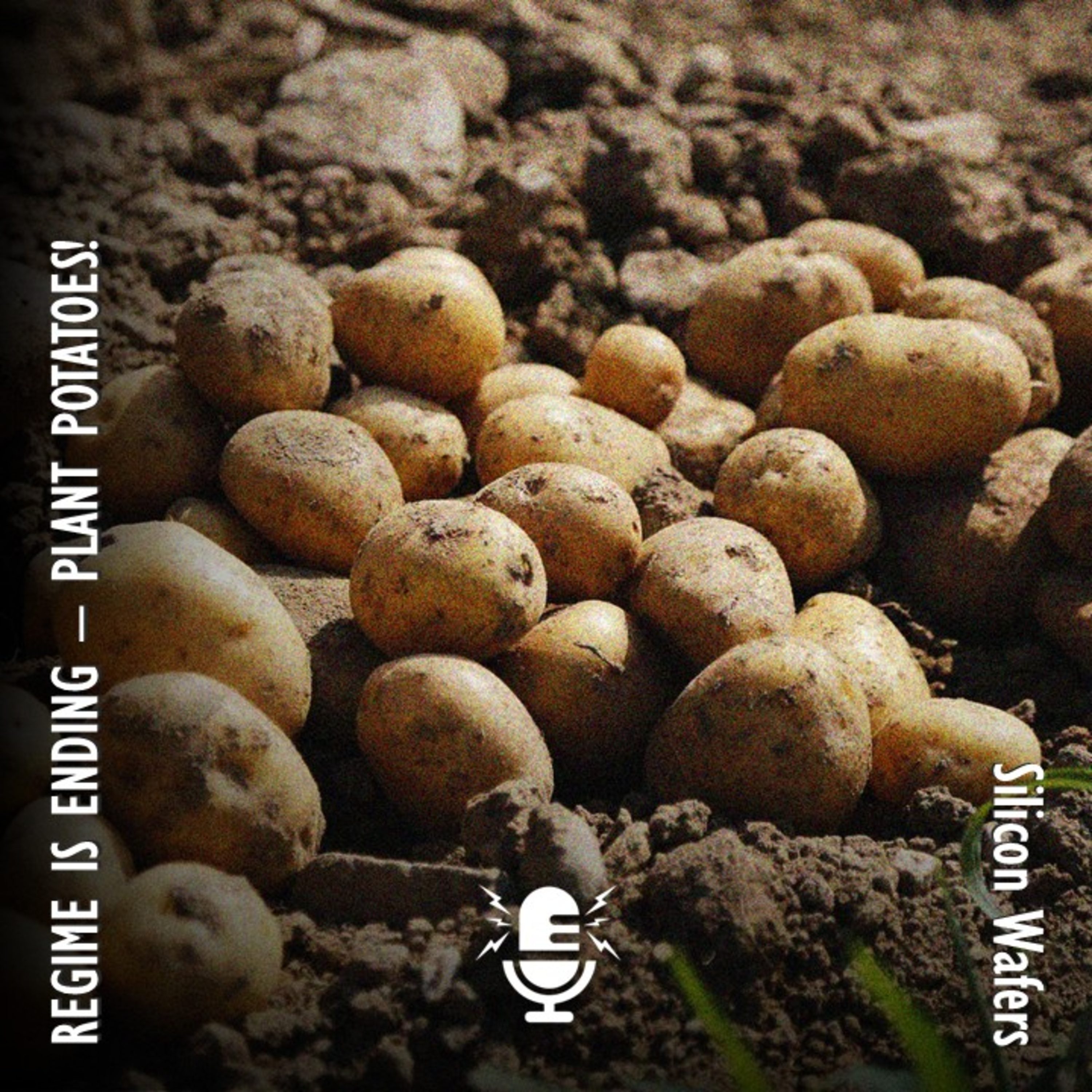 Z-Patriots WARM - Regime is Ending in the Worst Ways - Start Planting Potatoes! episode artwork