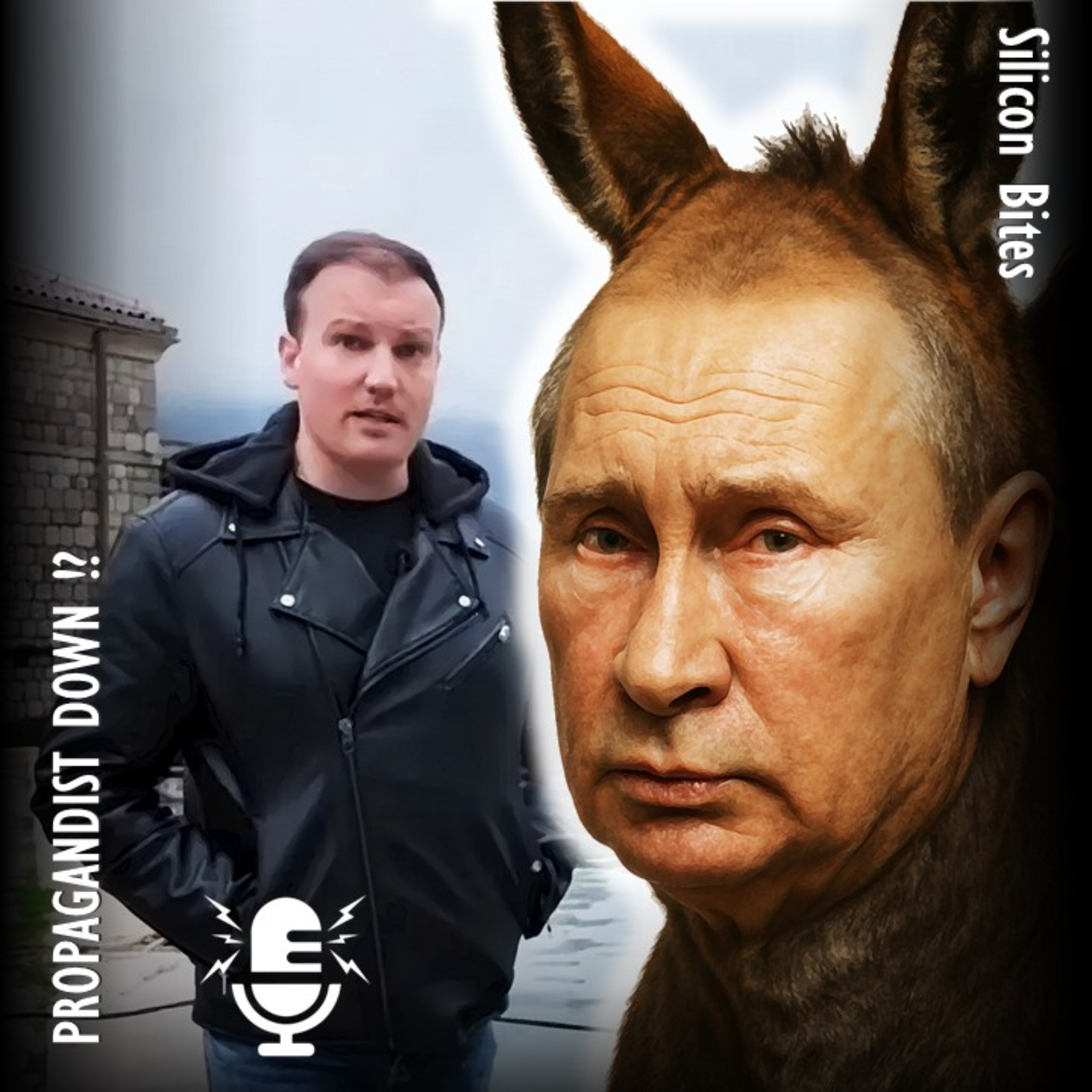 Caught in a NATO Country: The Fall of a Russian Propagandist! artwork