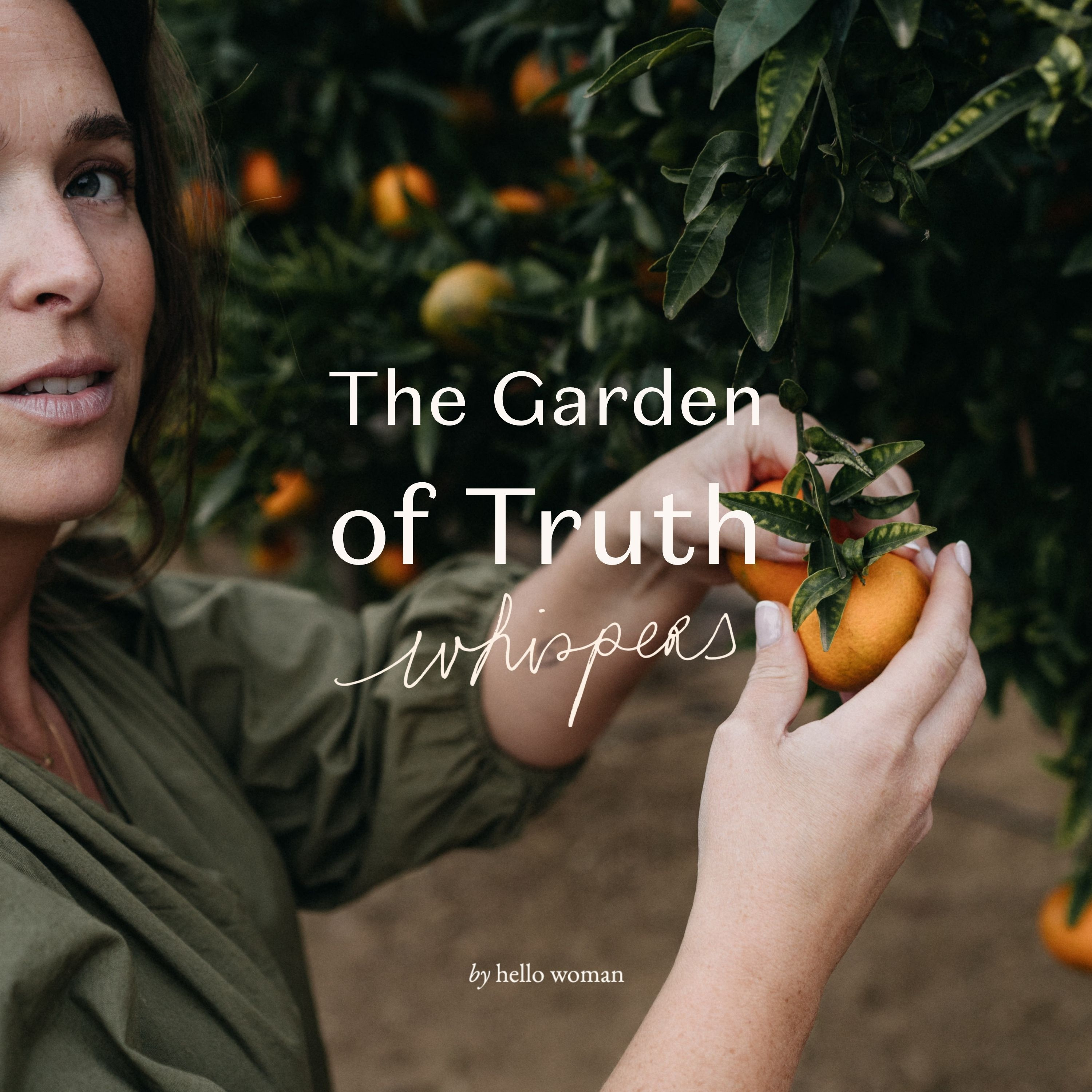 The Garden of Truth episode artwork