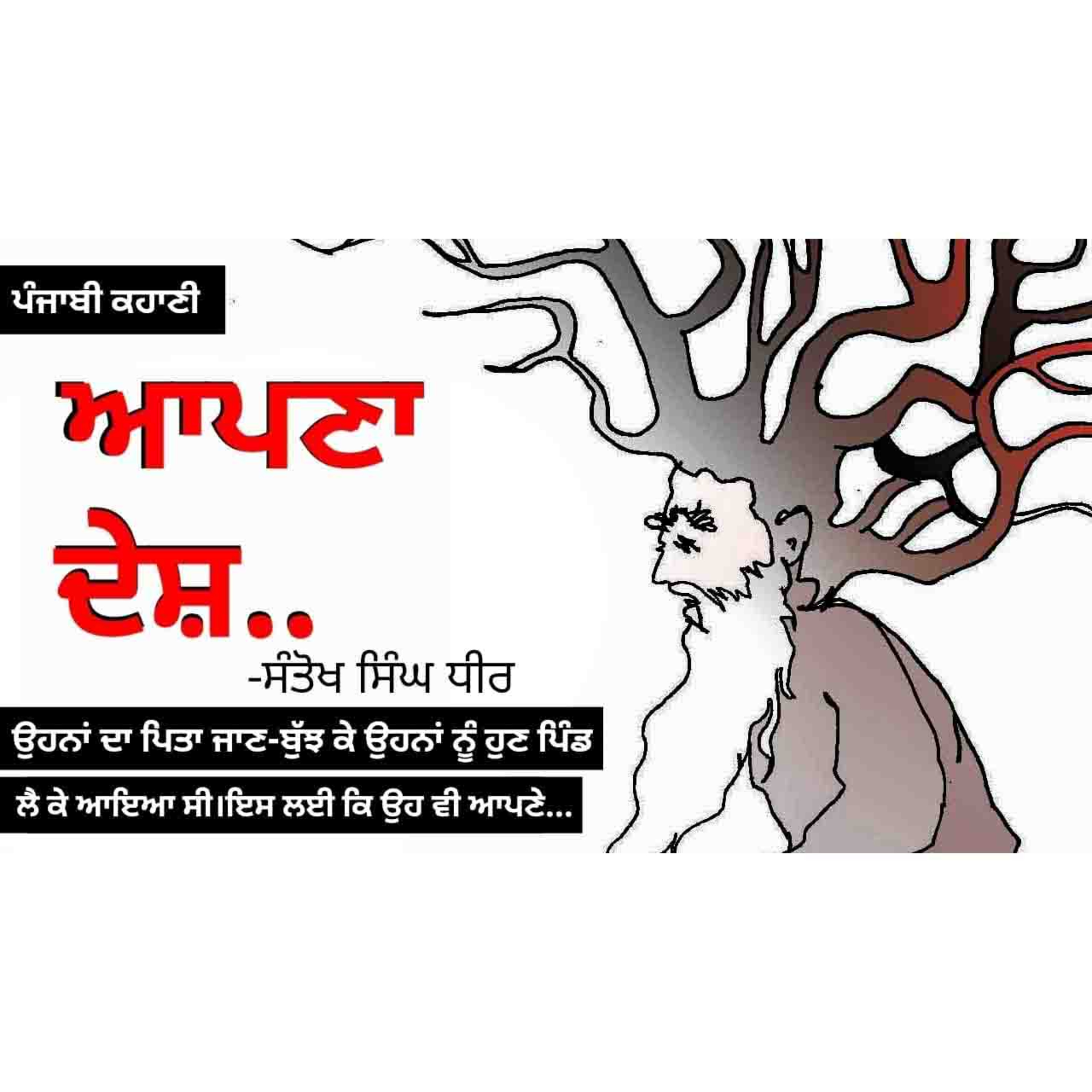 Punjabi Audiobooks By Dr. Ruminder