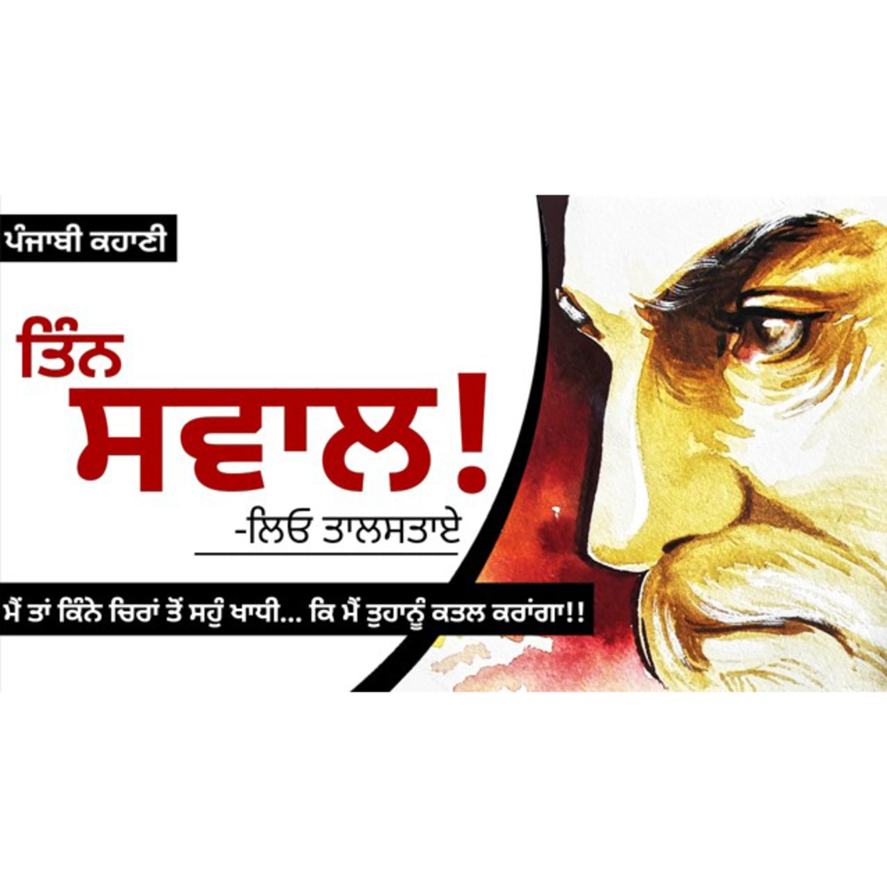 Punjabi Audiobooks By Dr. Ruminder