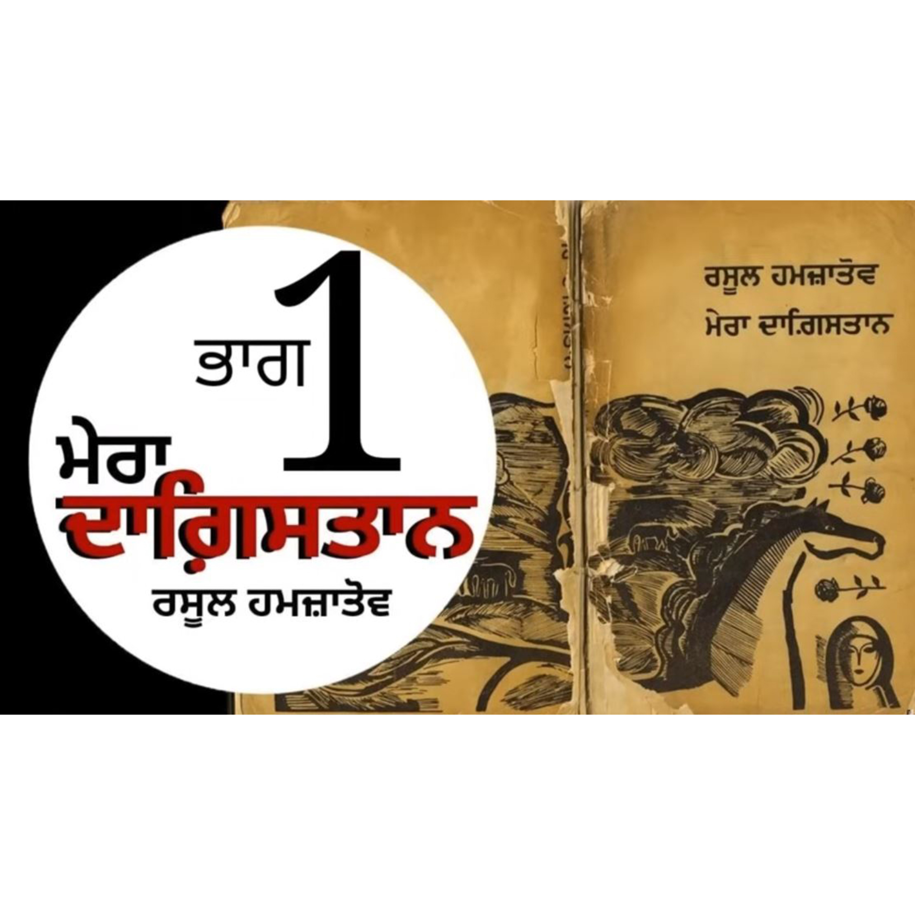 Punjabi Audiobooks By Dr. Ruminder