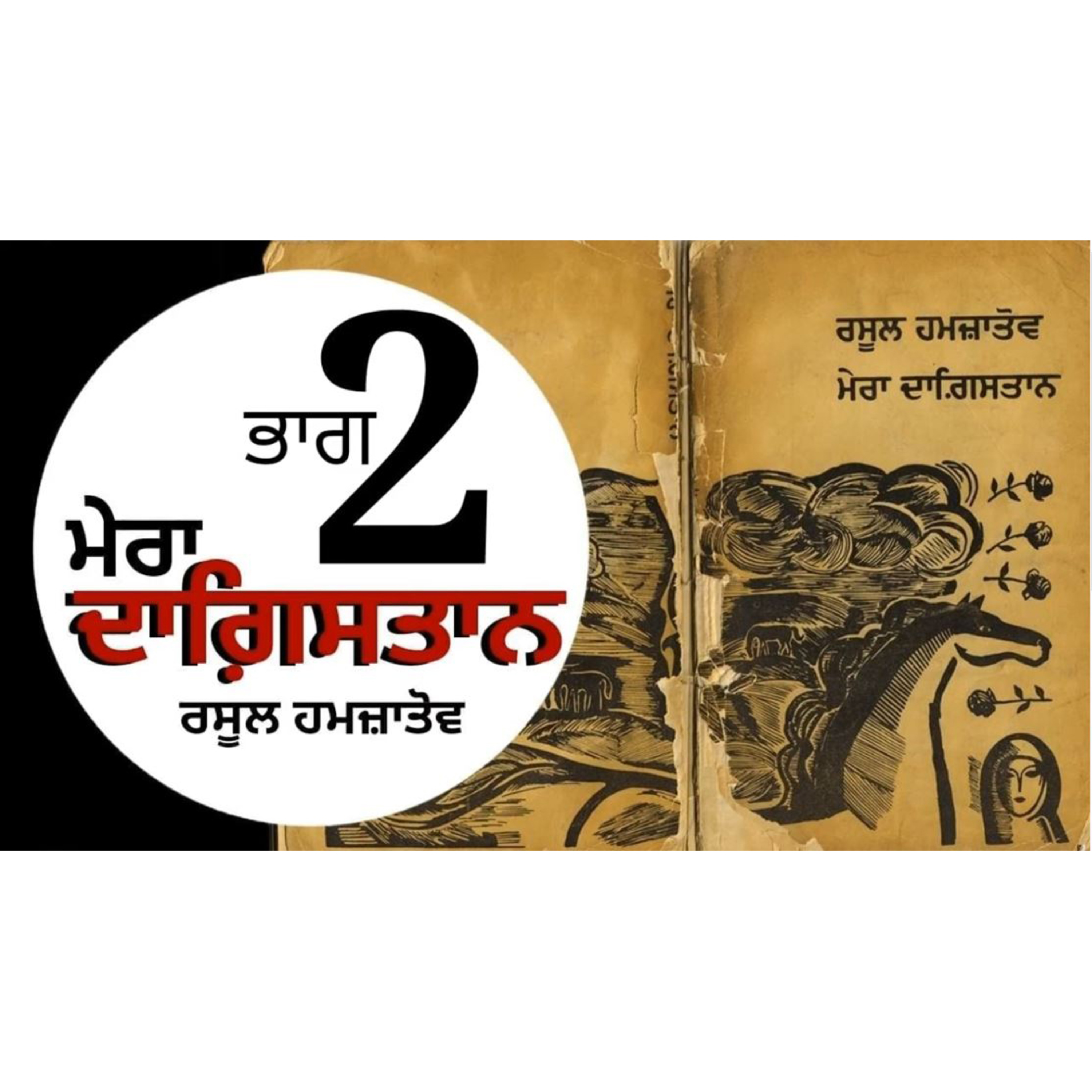 Punjabi Audiobooks By Dr. Ruminder