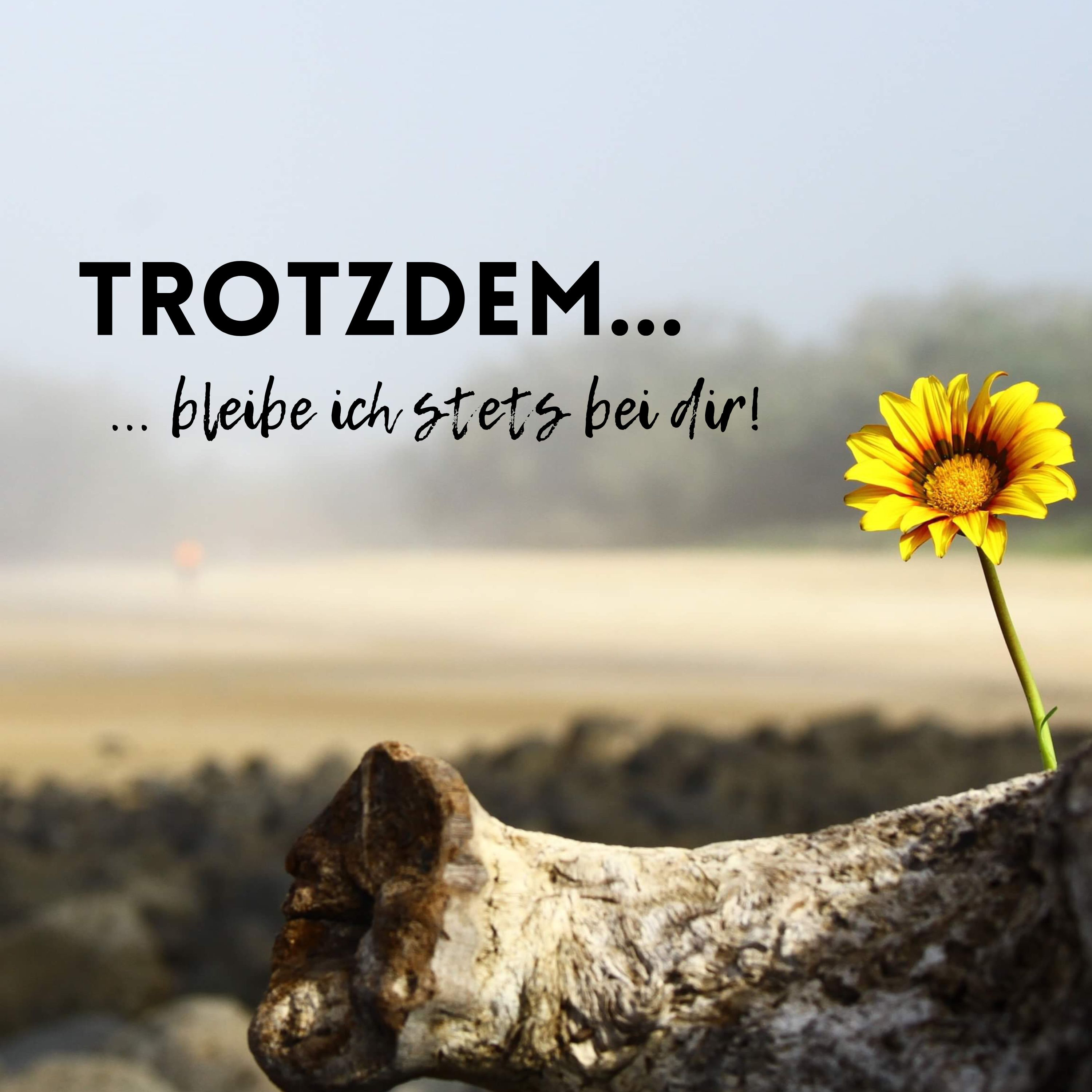 LKG Marktredwitz - aktuelle Predigten