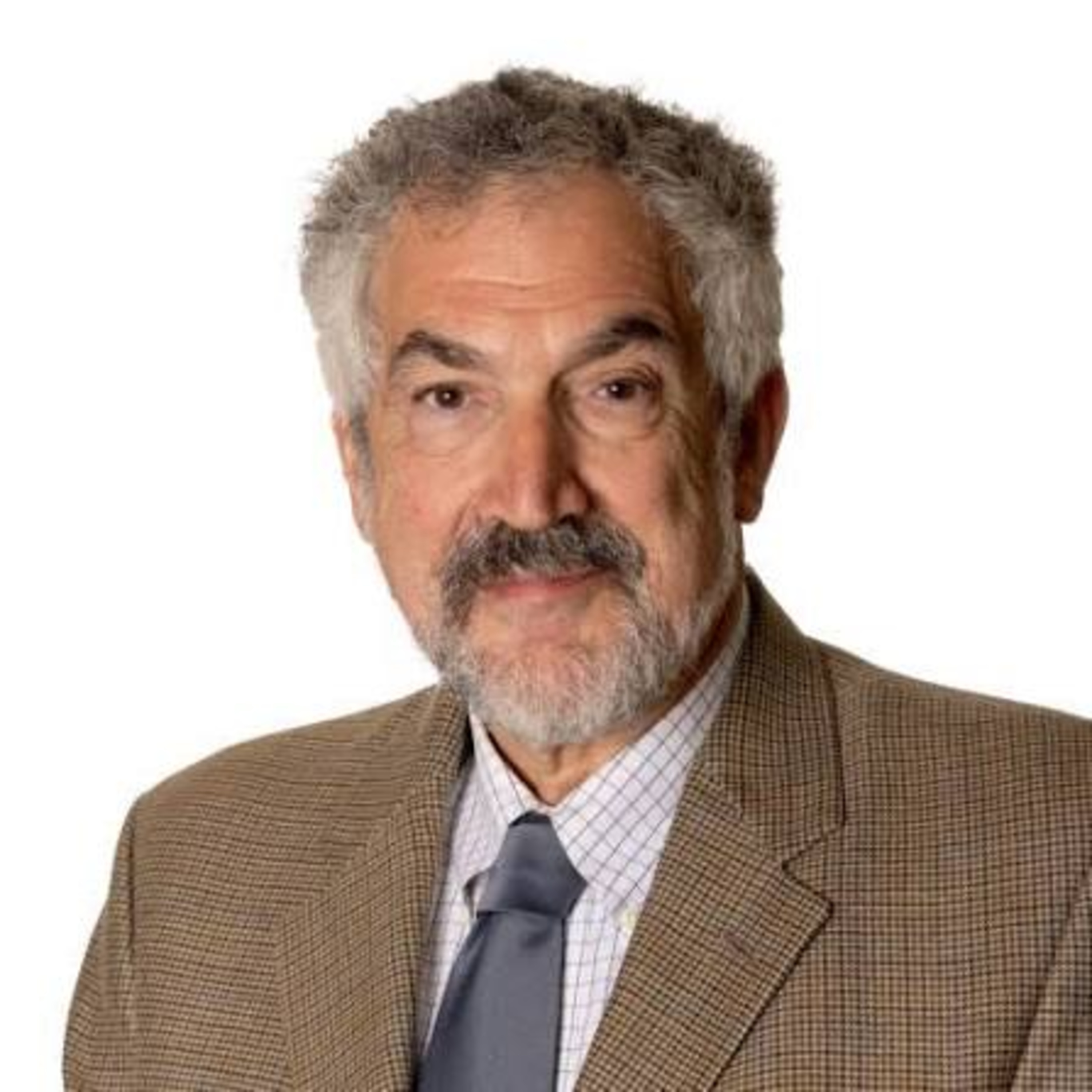 Daniel Pipes: Islamism Is Falling — Will the West Take Advantage?