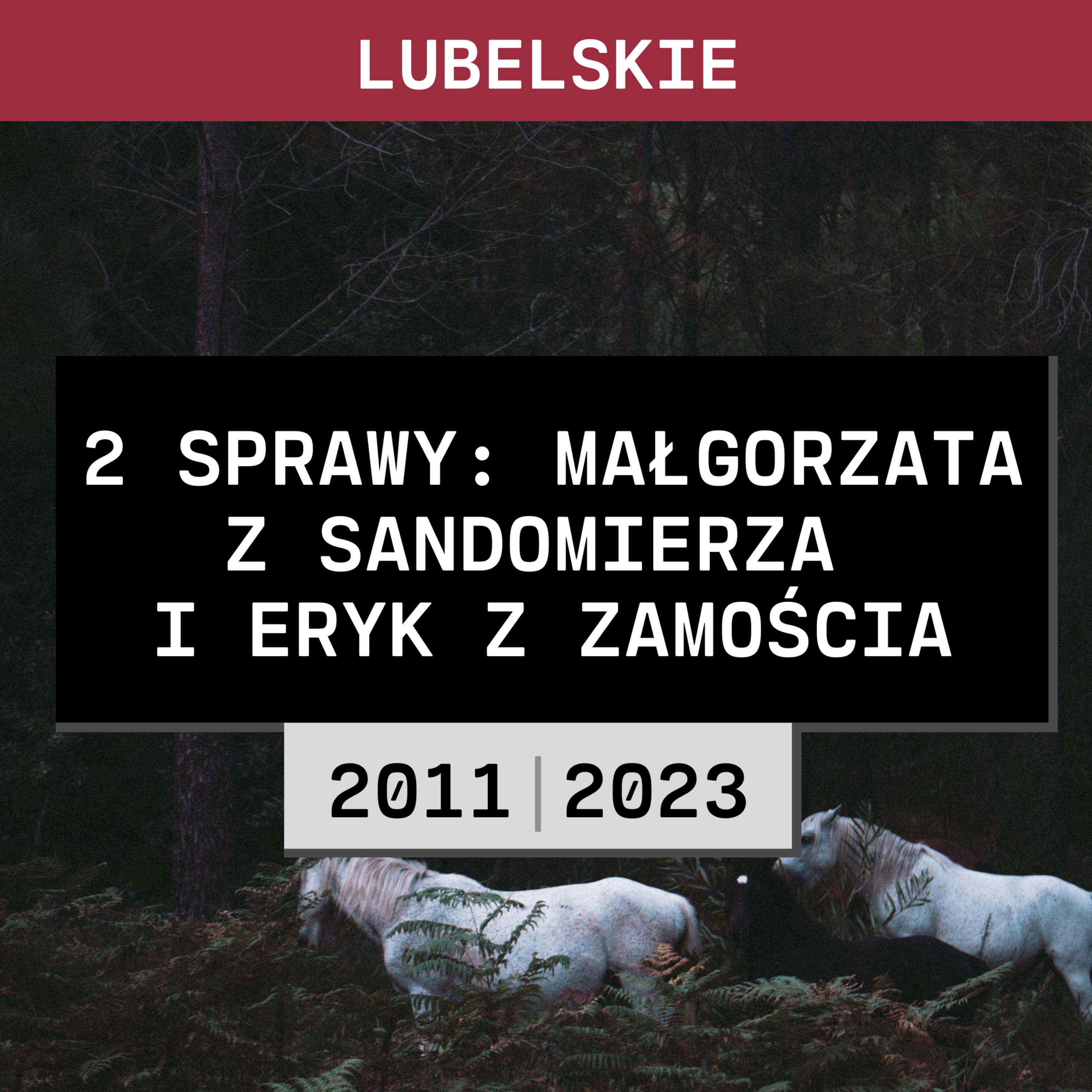 Szkic Kryminalny