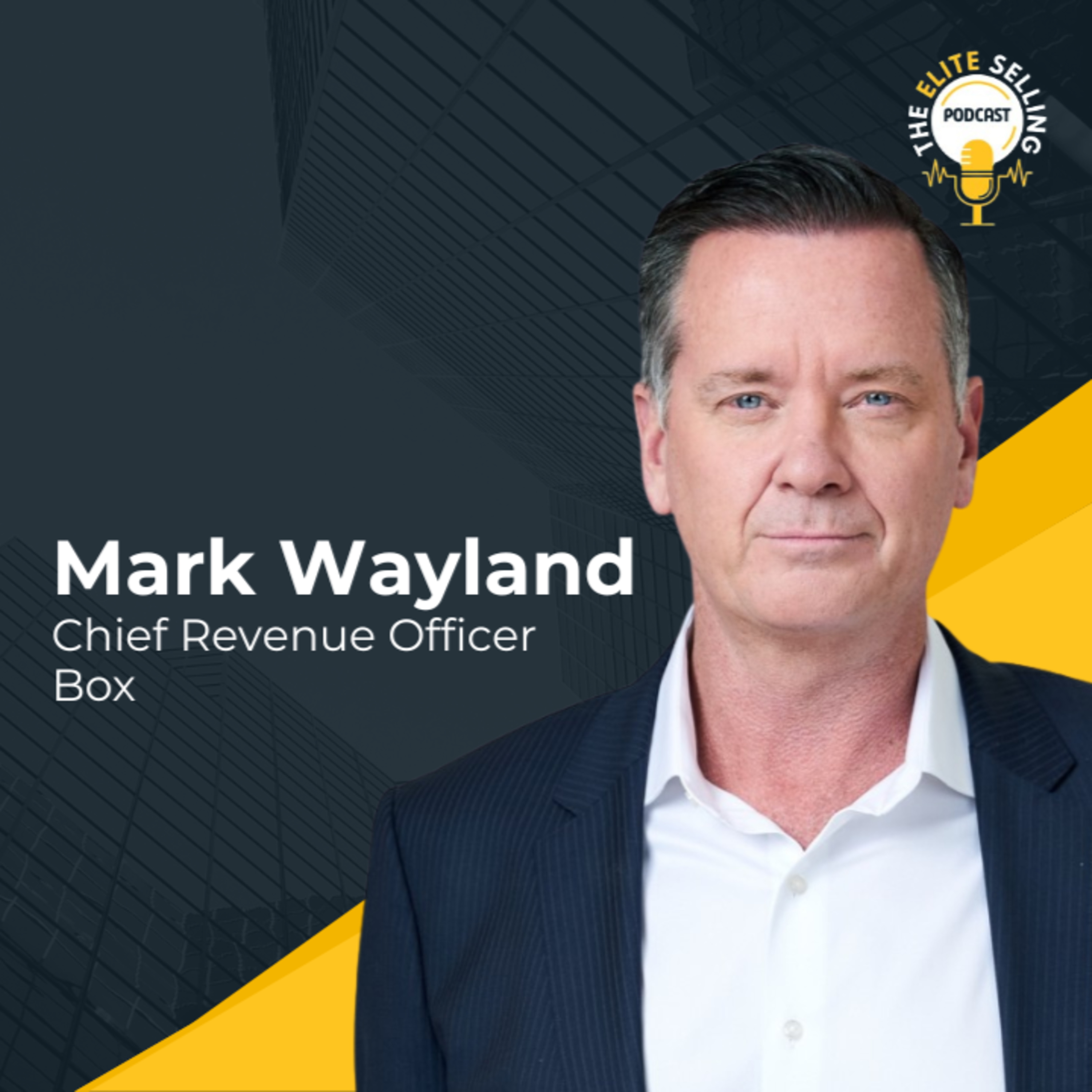 Elite Selling Podcast - Mastering Tech Sales