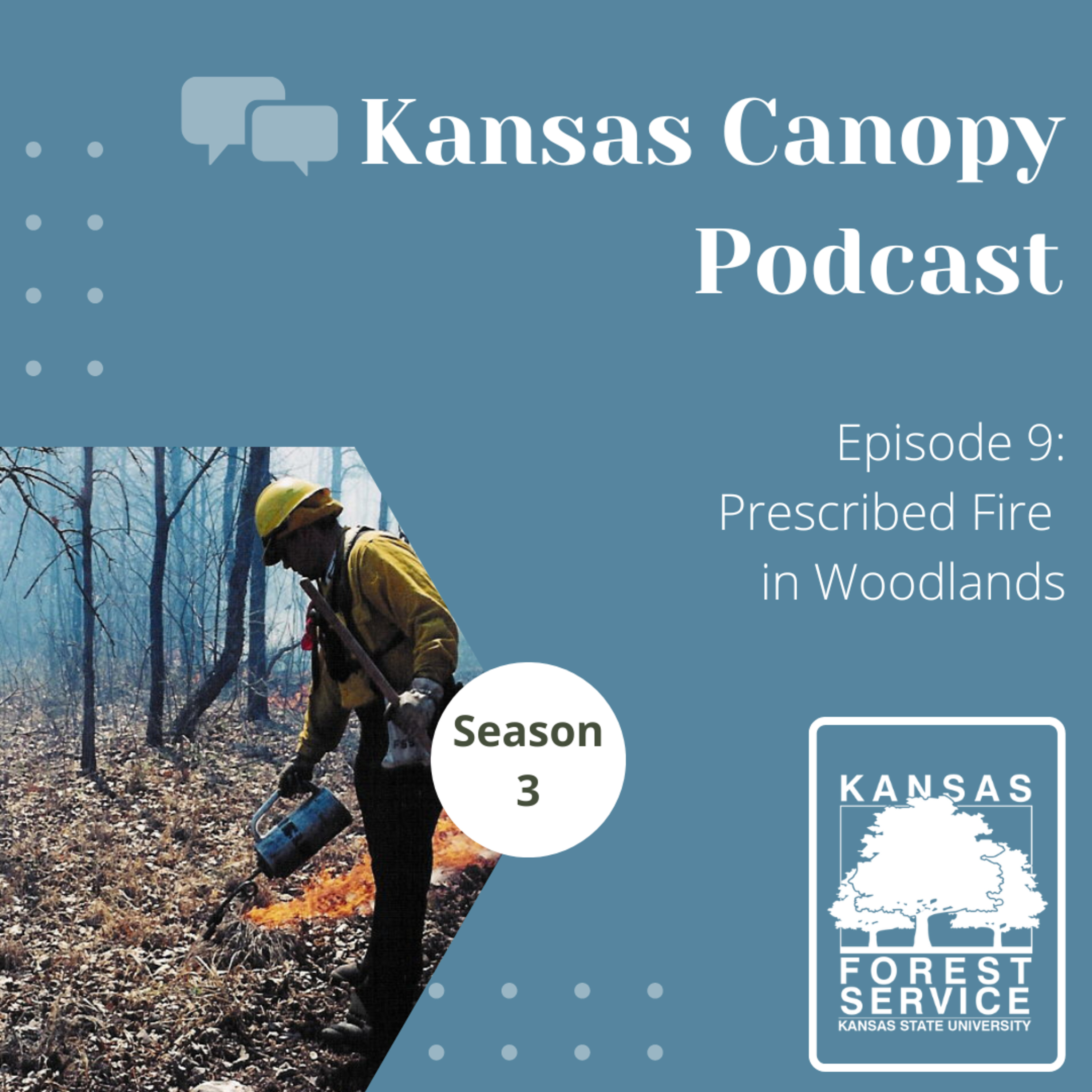 Kansas Canopy