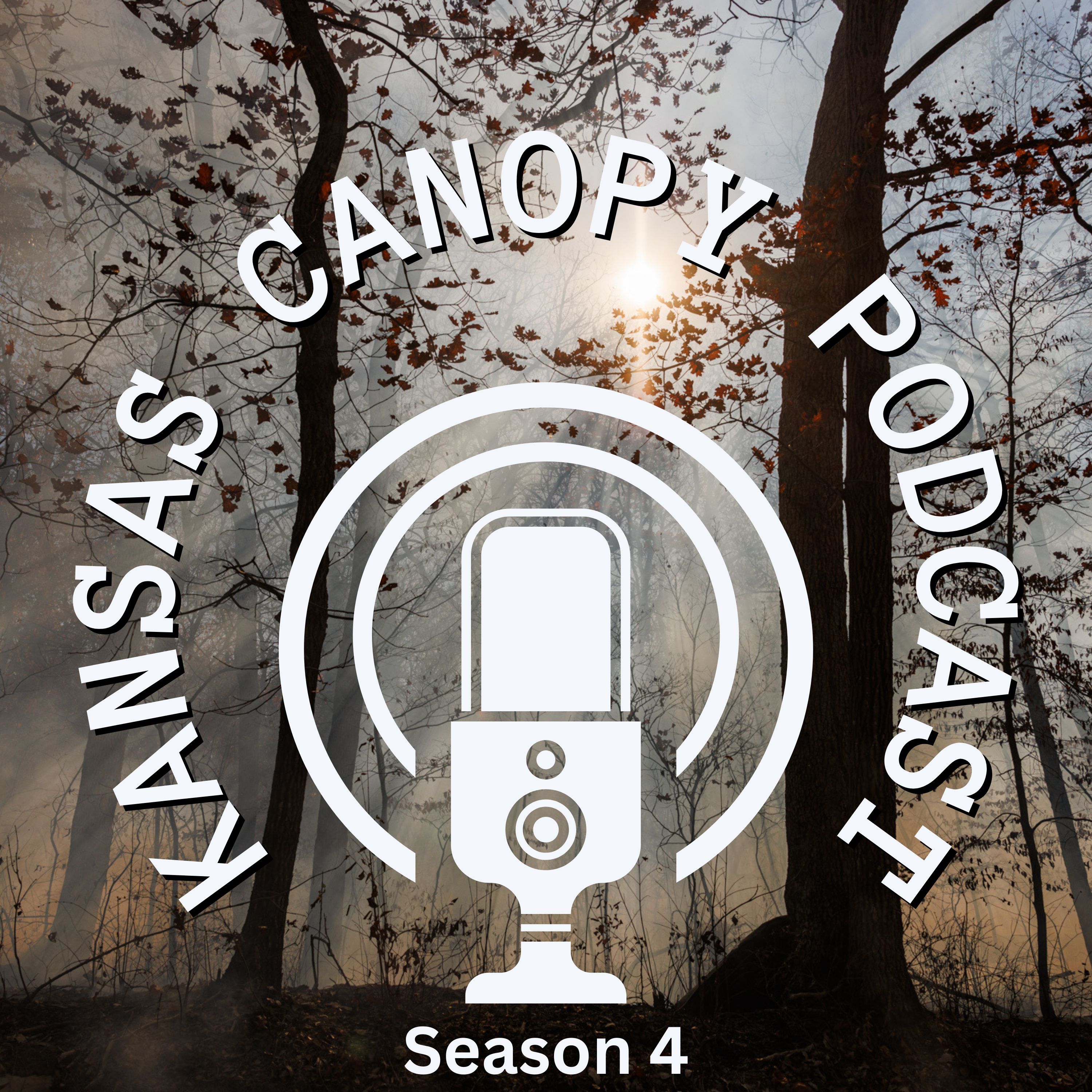 Kansas Canopy