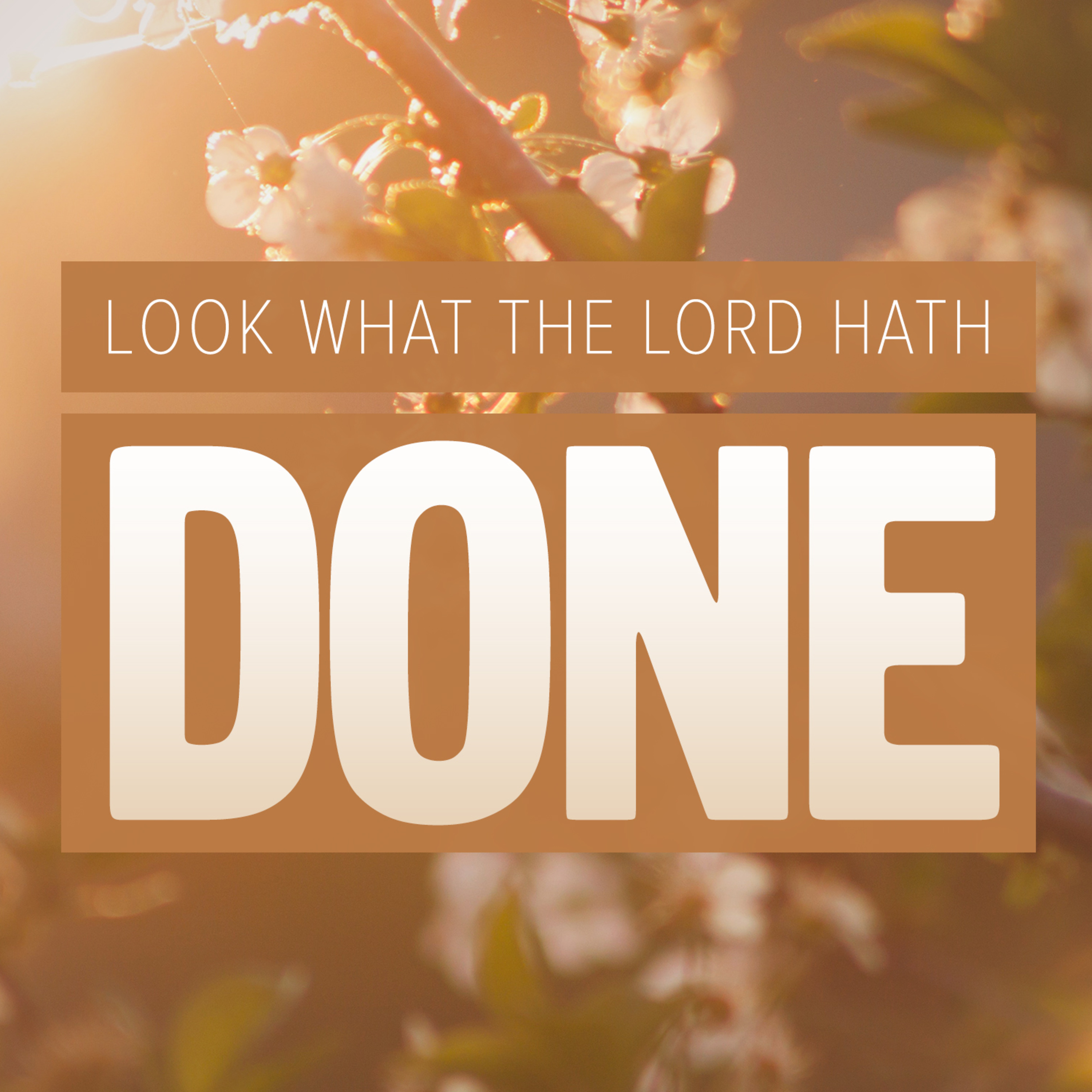 3x7: Look What The Lord Hath Done - 26 November 2023 episode artwork